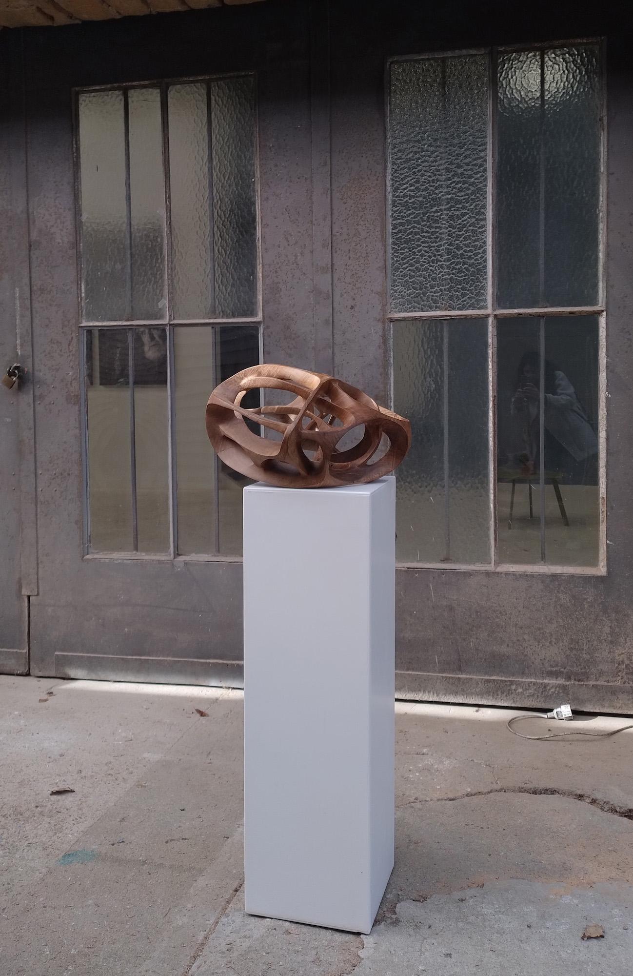 Chaotic Route III di Wouter van der Vlugt - Scultura in legno, noce, movimento in vendita 14