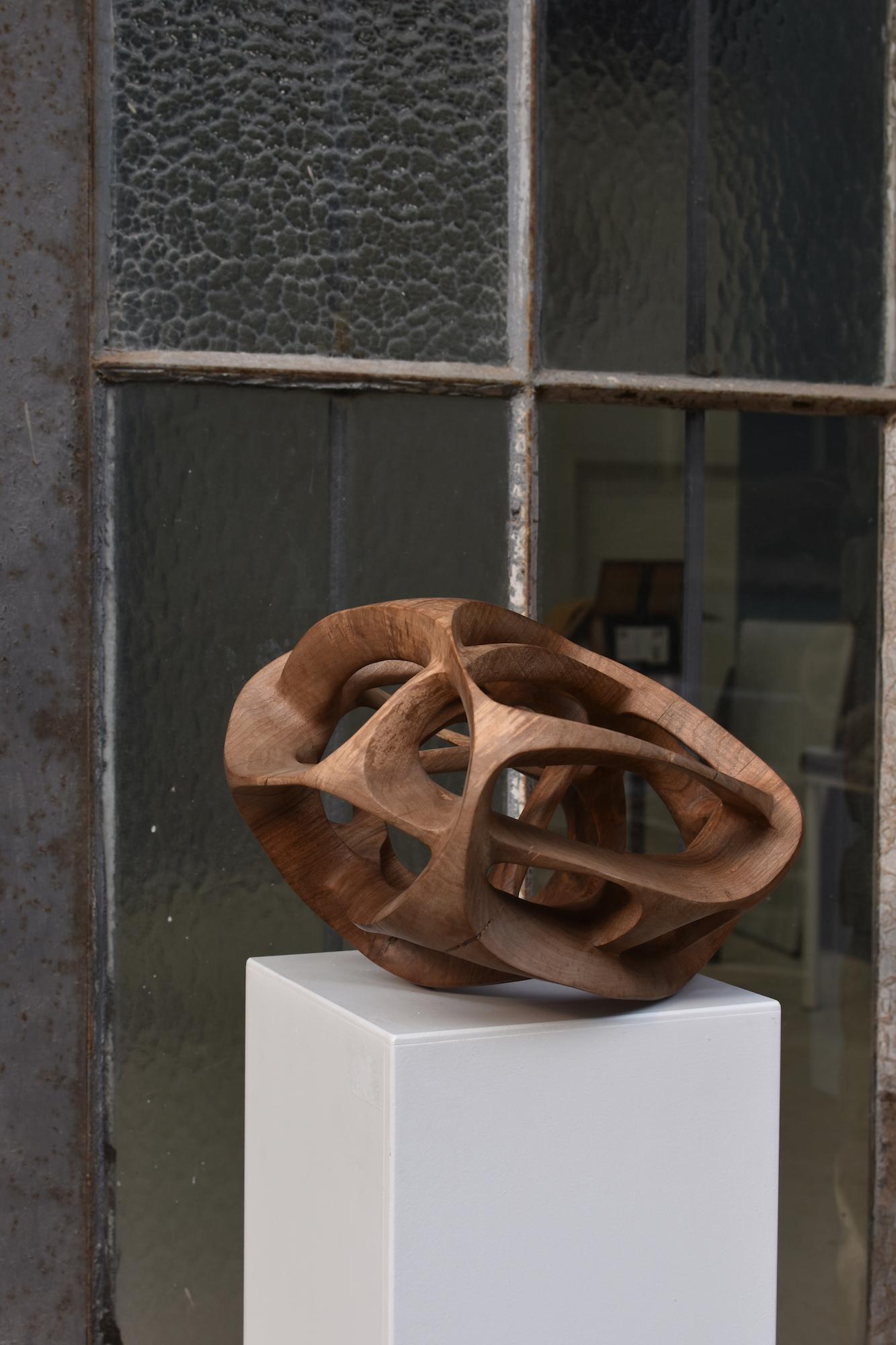 Chaotic Route III di Wouter van der Vlugt - Scultura in legno, noce, movimento in vendita 16