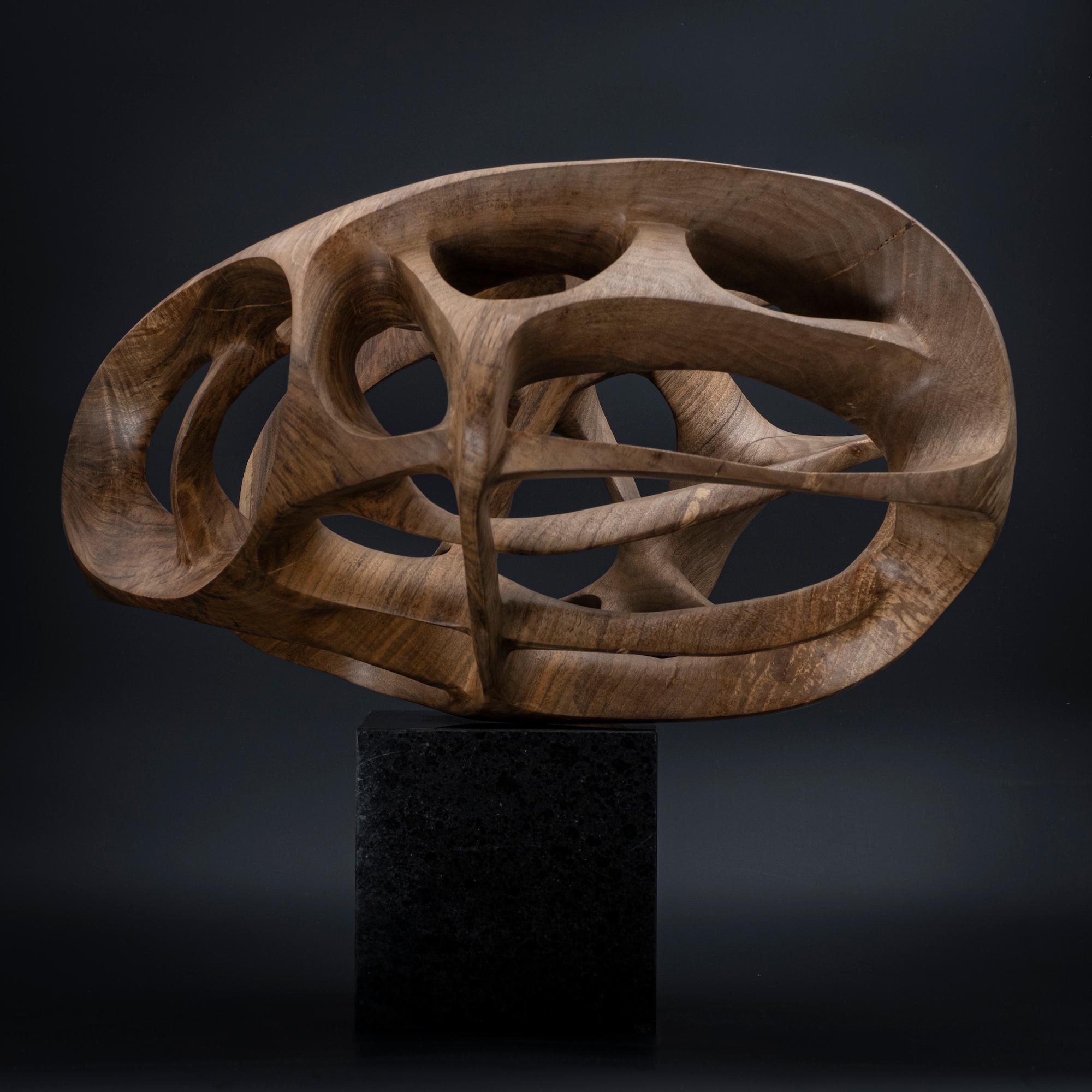 Chaotic Route III di Wouter van der Vlugt - Scultura in legno, noce, movimento 1