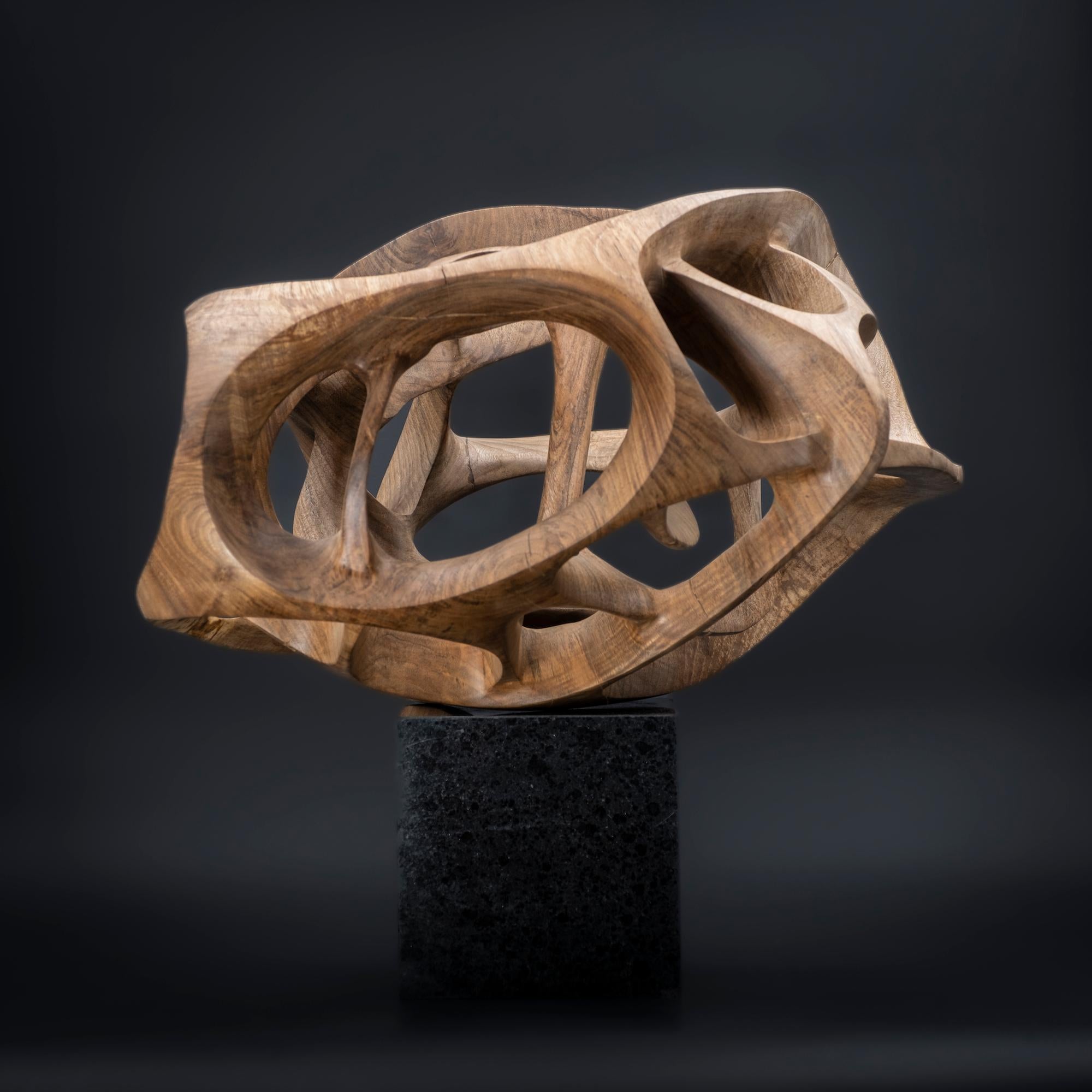 Chaotic Route III di Wouter van der Vlugt - Scultura in legno, noce, movimento in vendita 2