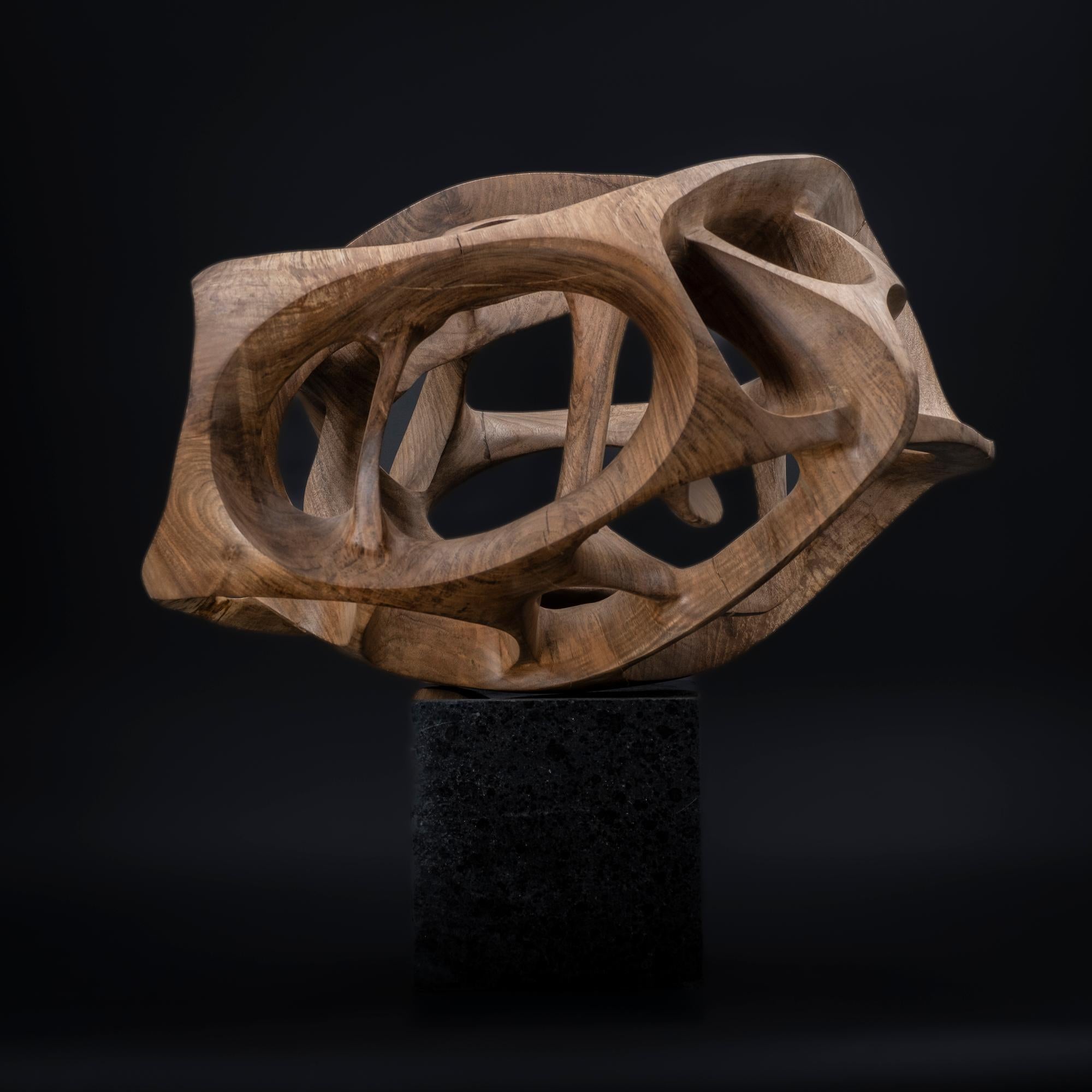 Chaotic Route III di Wouter van der Vlugt - Scultura in legno, noce, movimento in vendita 3