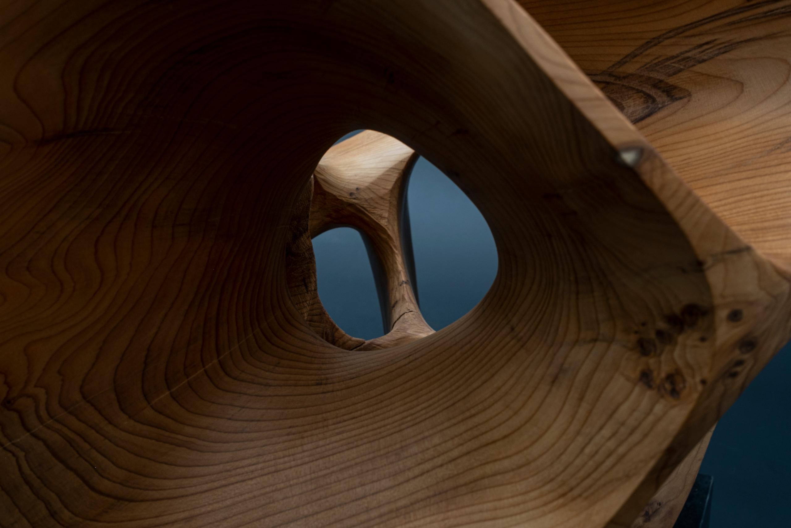 Chaotic Route III di Wouter van der Vlugt - Scultura in legno, noce, movimento in vendita 5