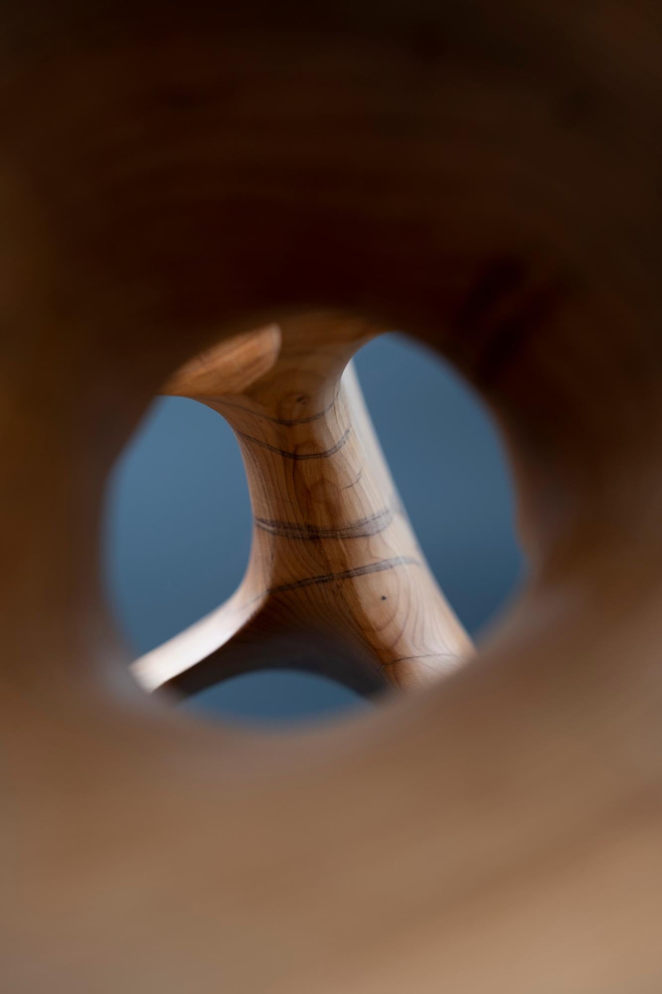 Chaotic Route III di Wouter van der Vlugt - Scultura in legno, noce, movimento in vendita 6