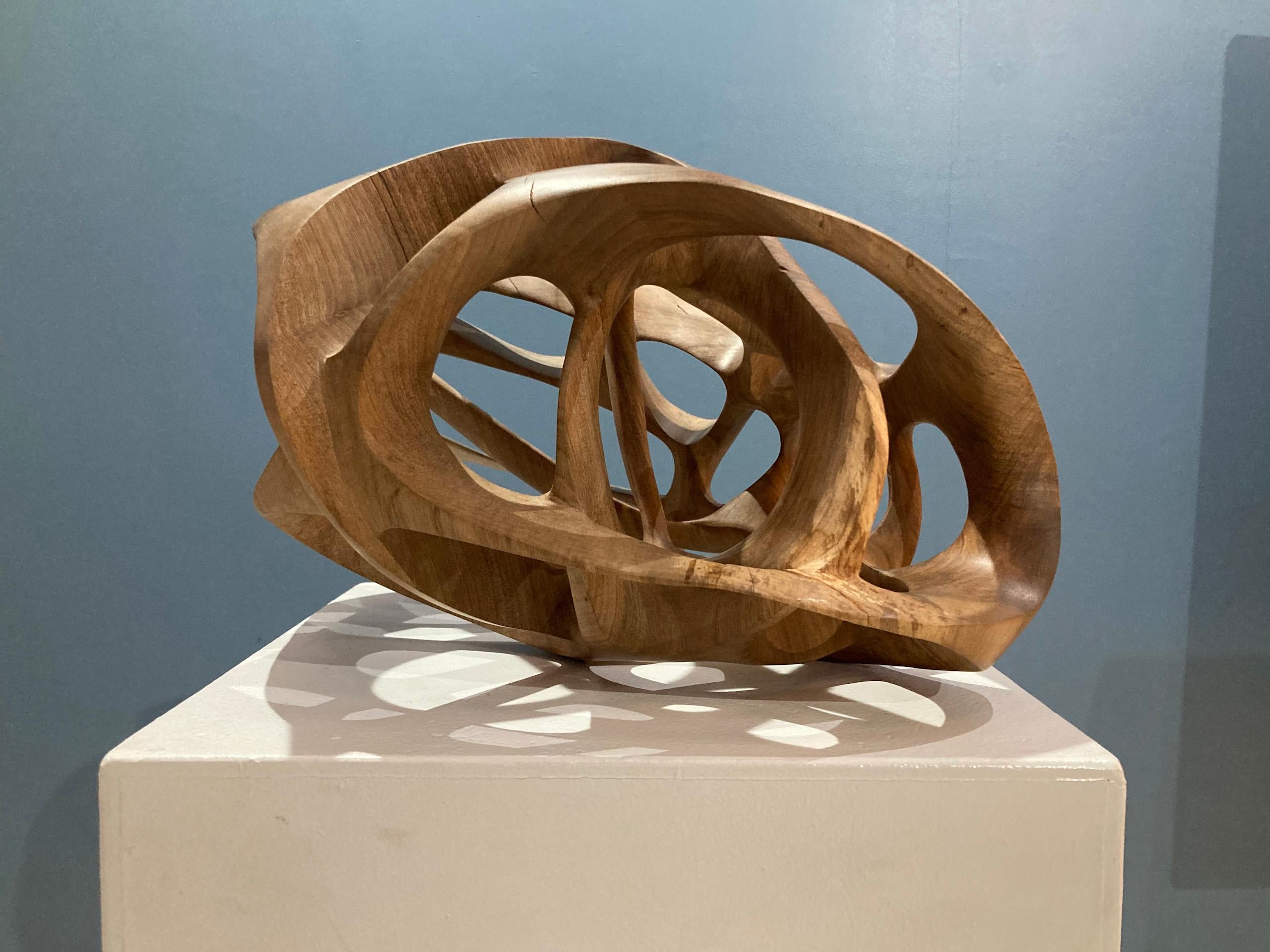 Chaotic Route III di Wouter van der Vlugt - Scultura in legno, noce, movimento in vendita 7