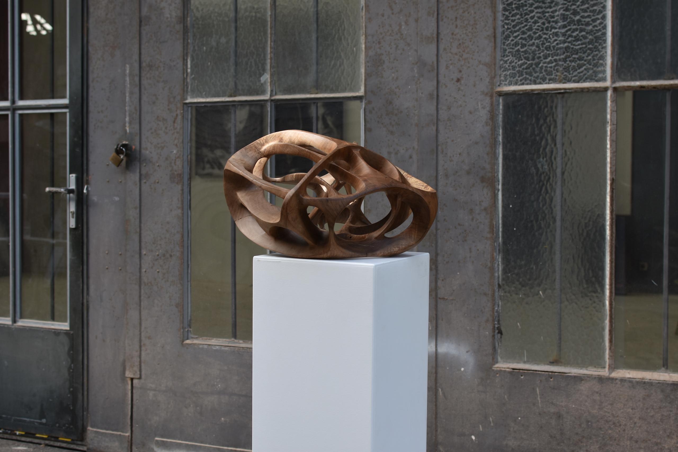 Chaotic Route III di Wouter van der Vlugt - Scultura in legno, noce, movimento in vendita 8