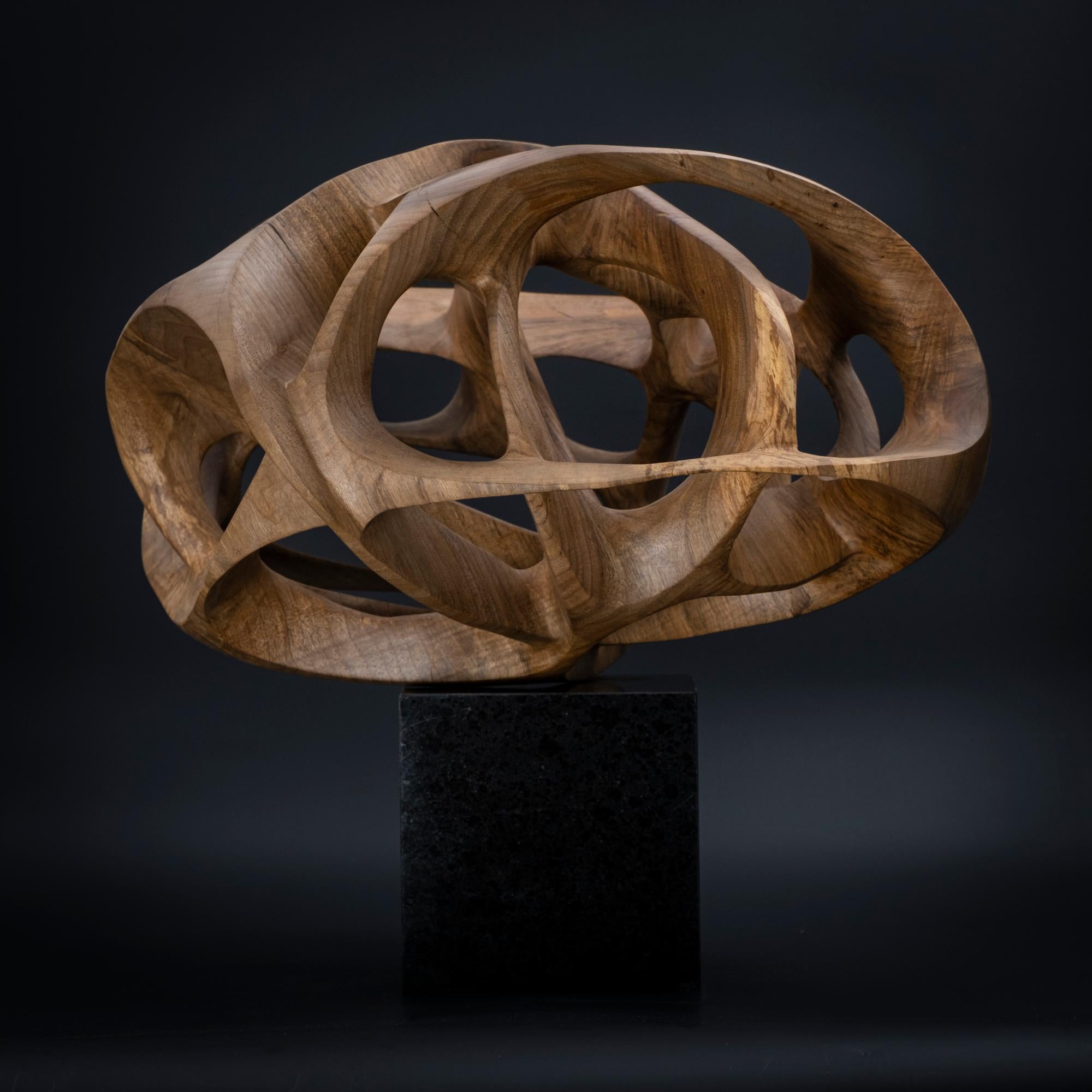 Chaotic Route III by Wouter van der Vlugt - Wood sculpture, walnut, movement