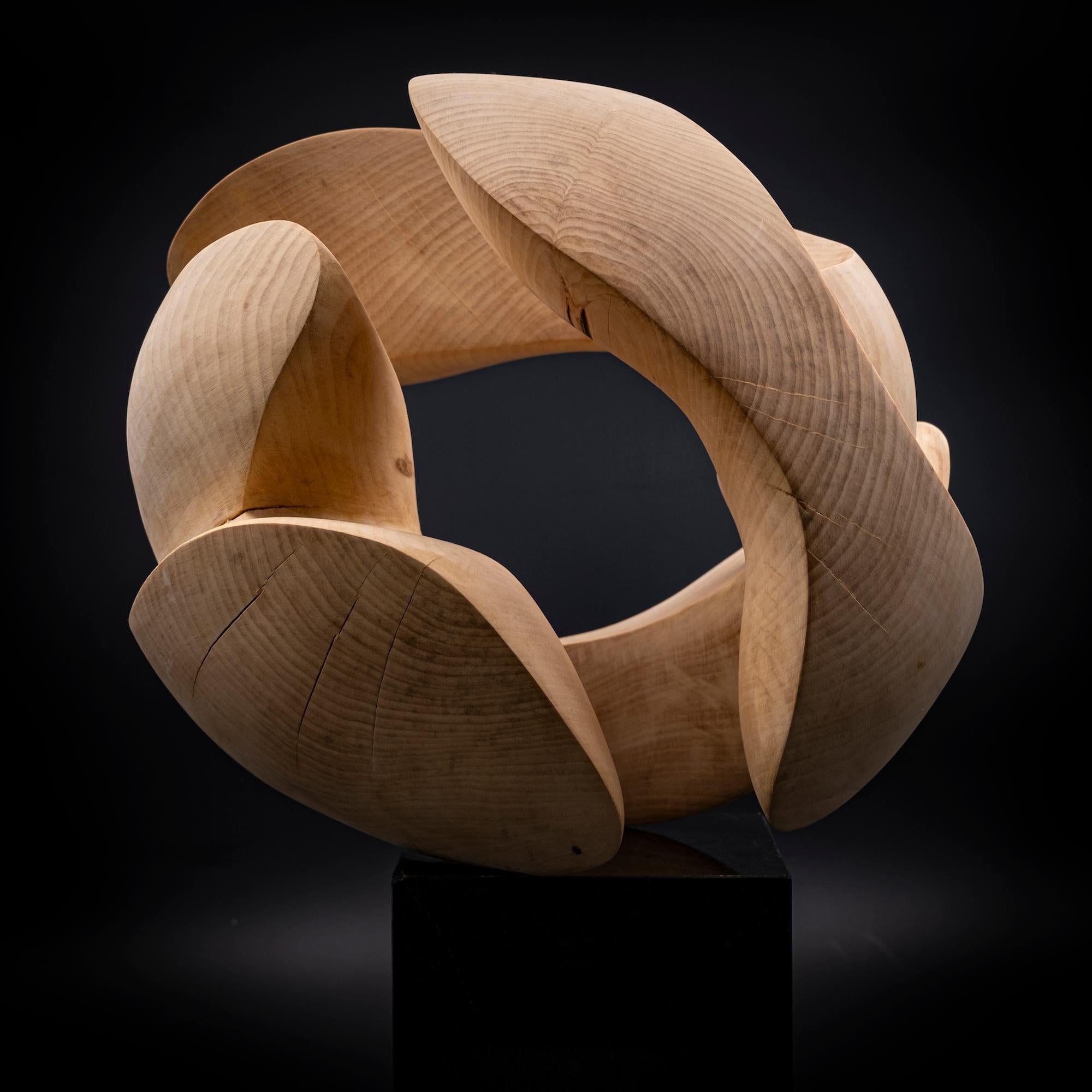 Embrace II di Wouter van der Vlugt - Scultura in legno, castagno, movimento, organico 1