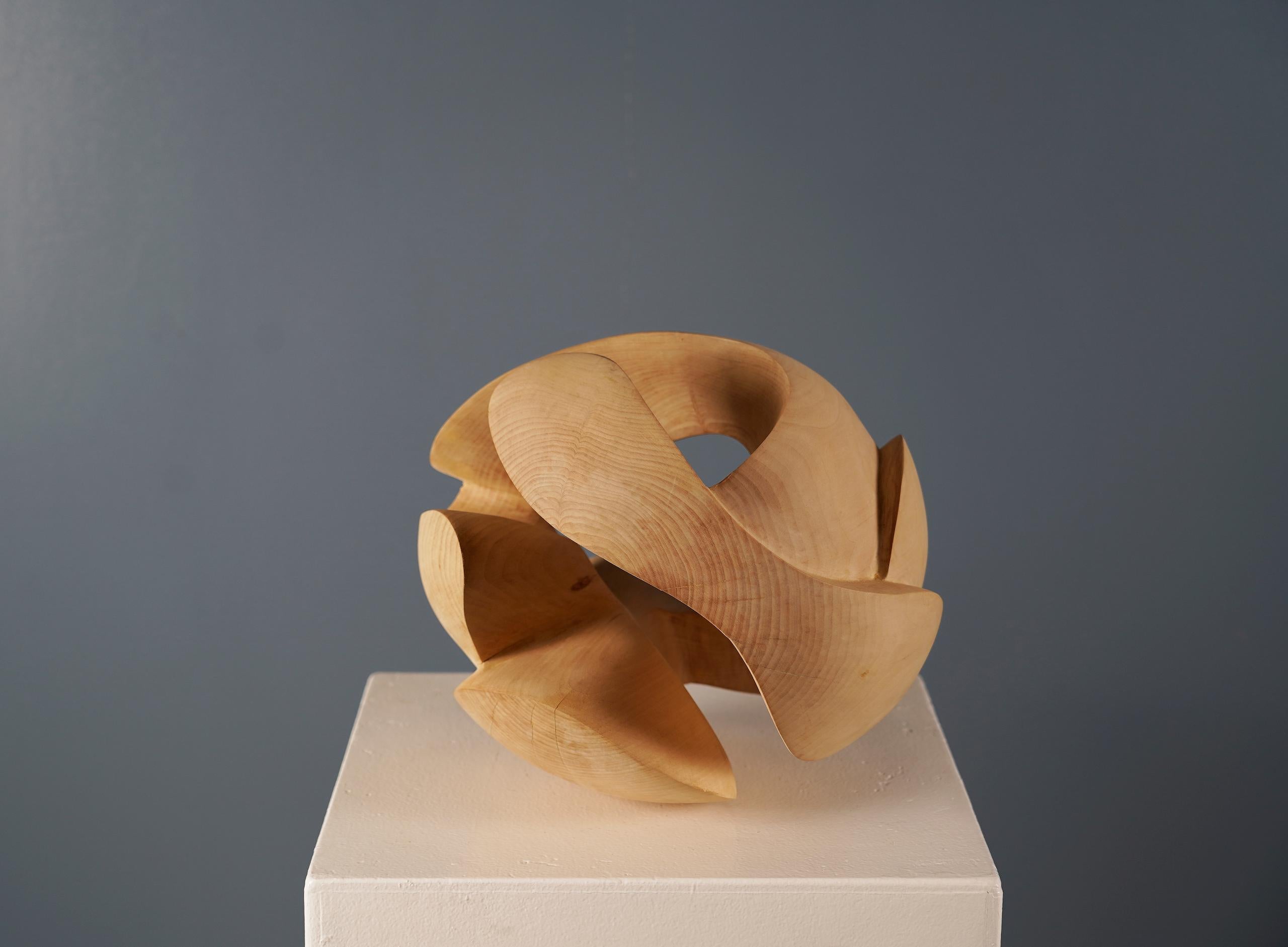 Embrace II di Wouter van der Vlugt - Scultura in legno, castagno, movimento, organico 2