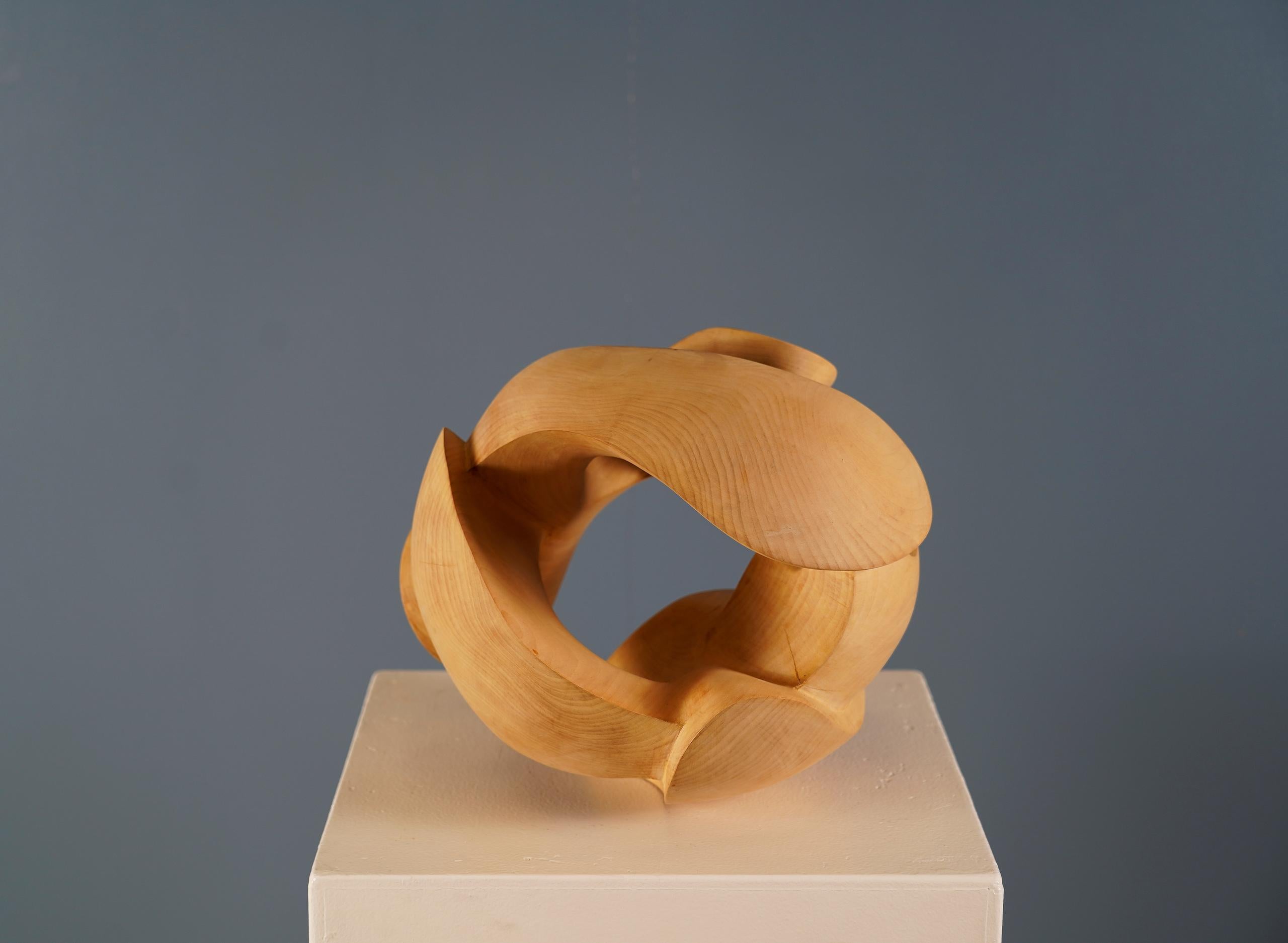 Embrace II di Wouter van der Vlugt - Scultura in legno, castagno, movimento, organico 3