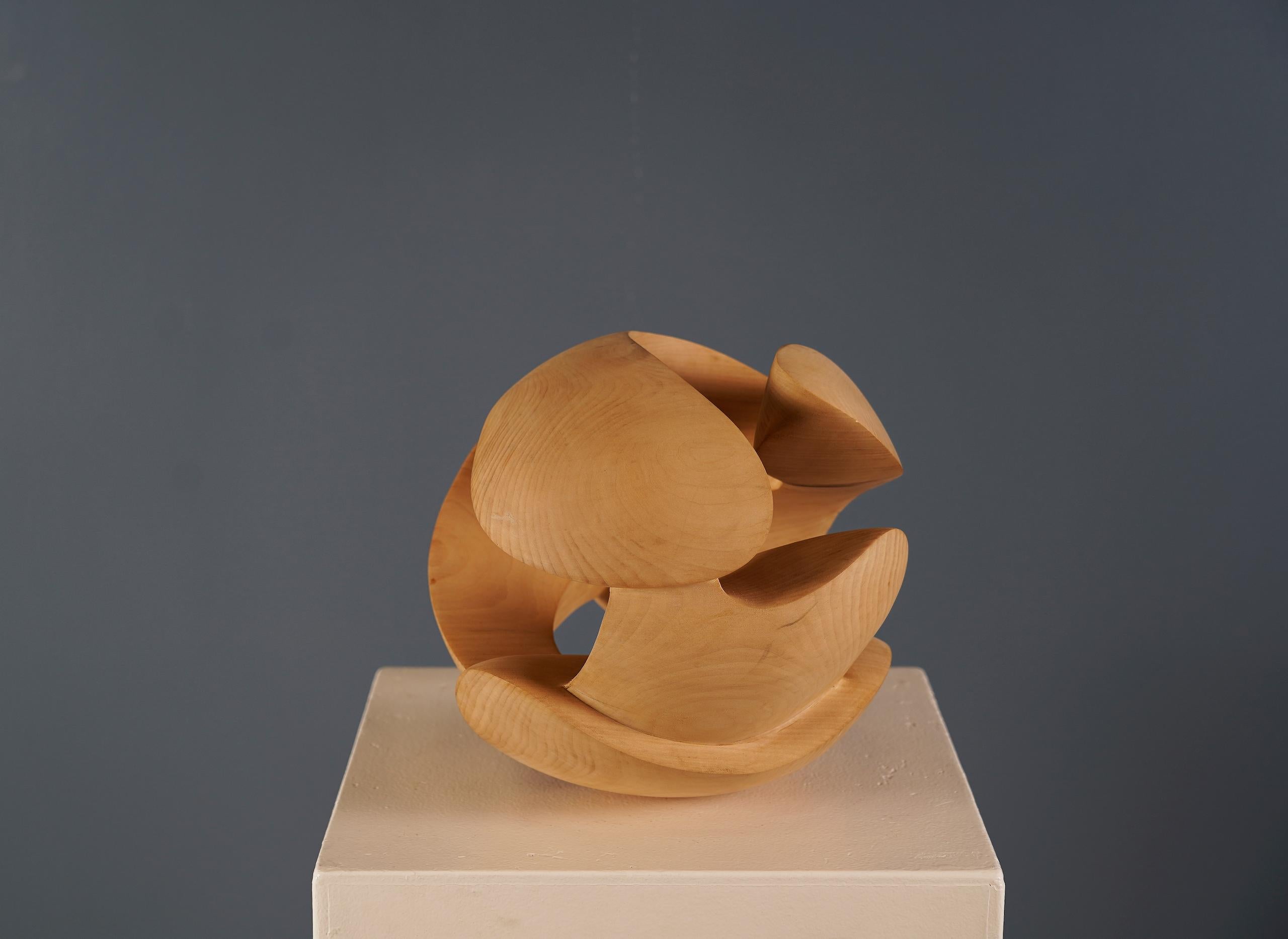 Embrace II di Wouter van der Vlugt - Scultura in legno, castagno, movimento, organico 4
