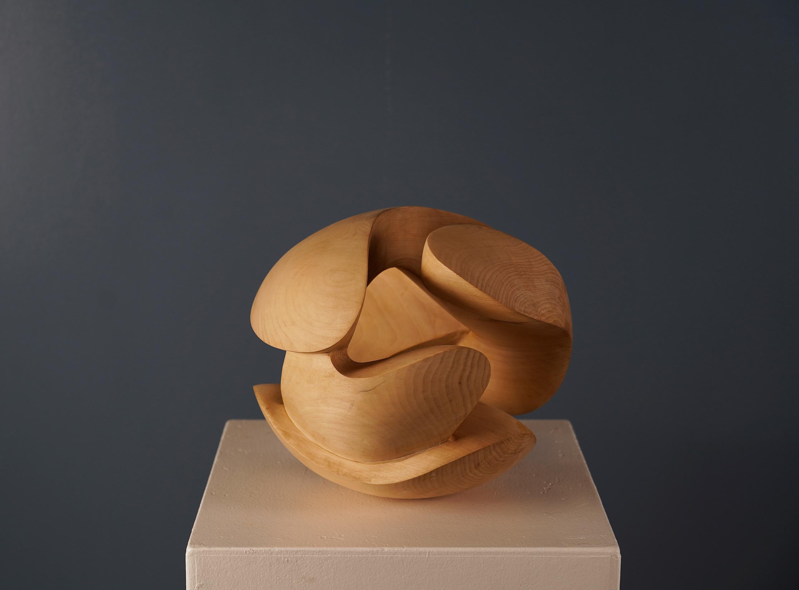Embrace II di Wouter van der Vlugt - Scultura in legno, castagno, movimento, organico 5