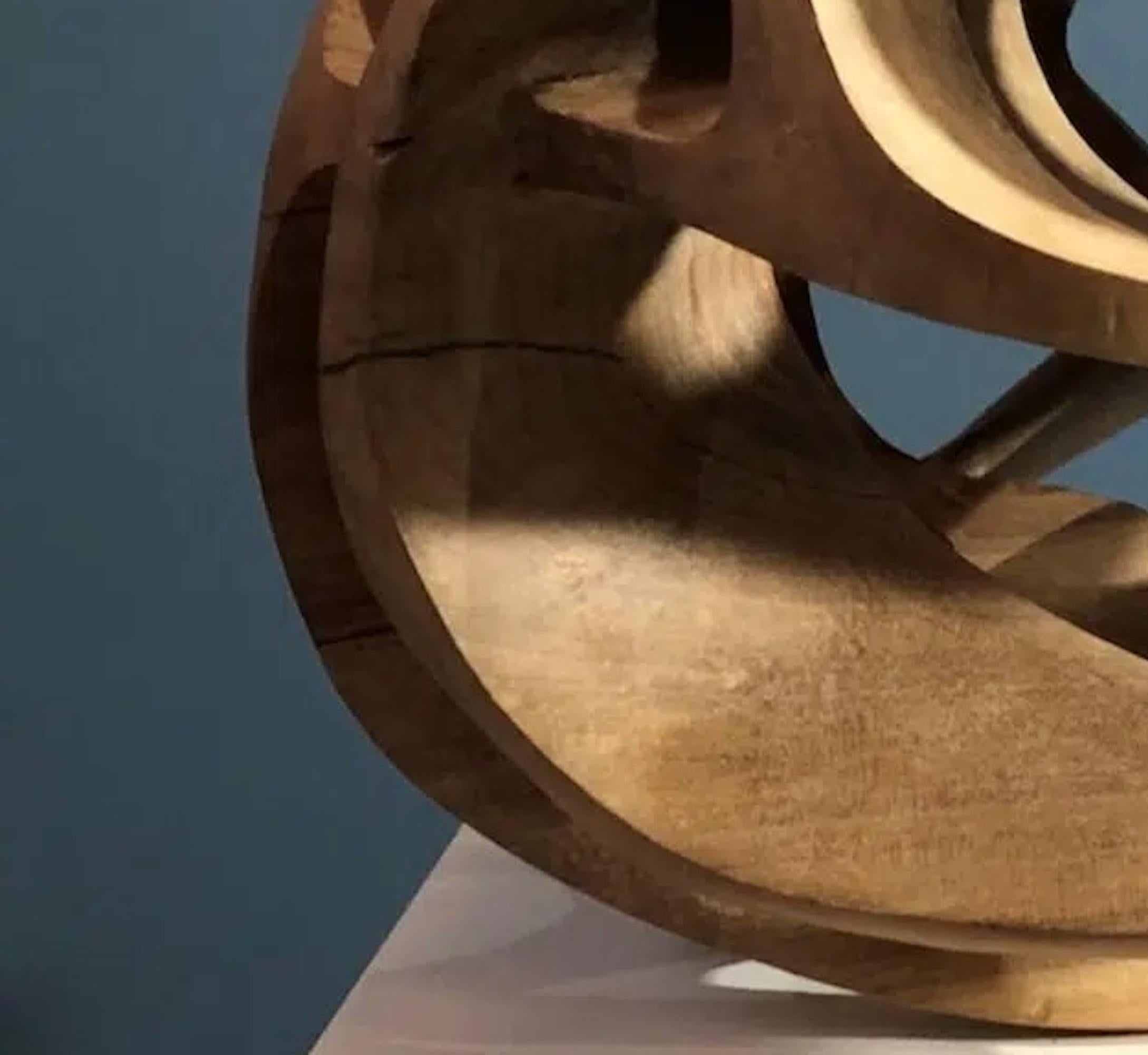 Erratic Movement II by Wouter van der Vlugt - Wood sculpture, round, movement For Sale 5