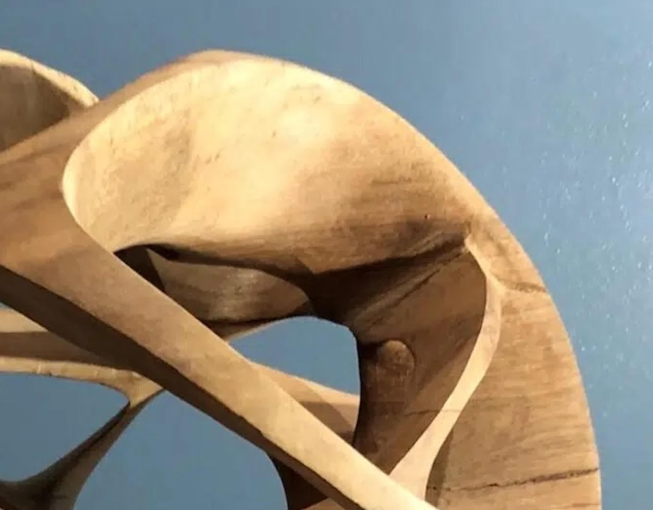 Erratic Movement II by Wouter van der Vlugt - Wood sculpture, round, movement For Sale 6