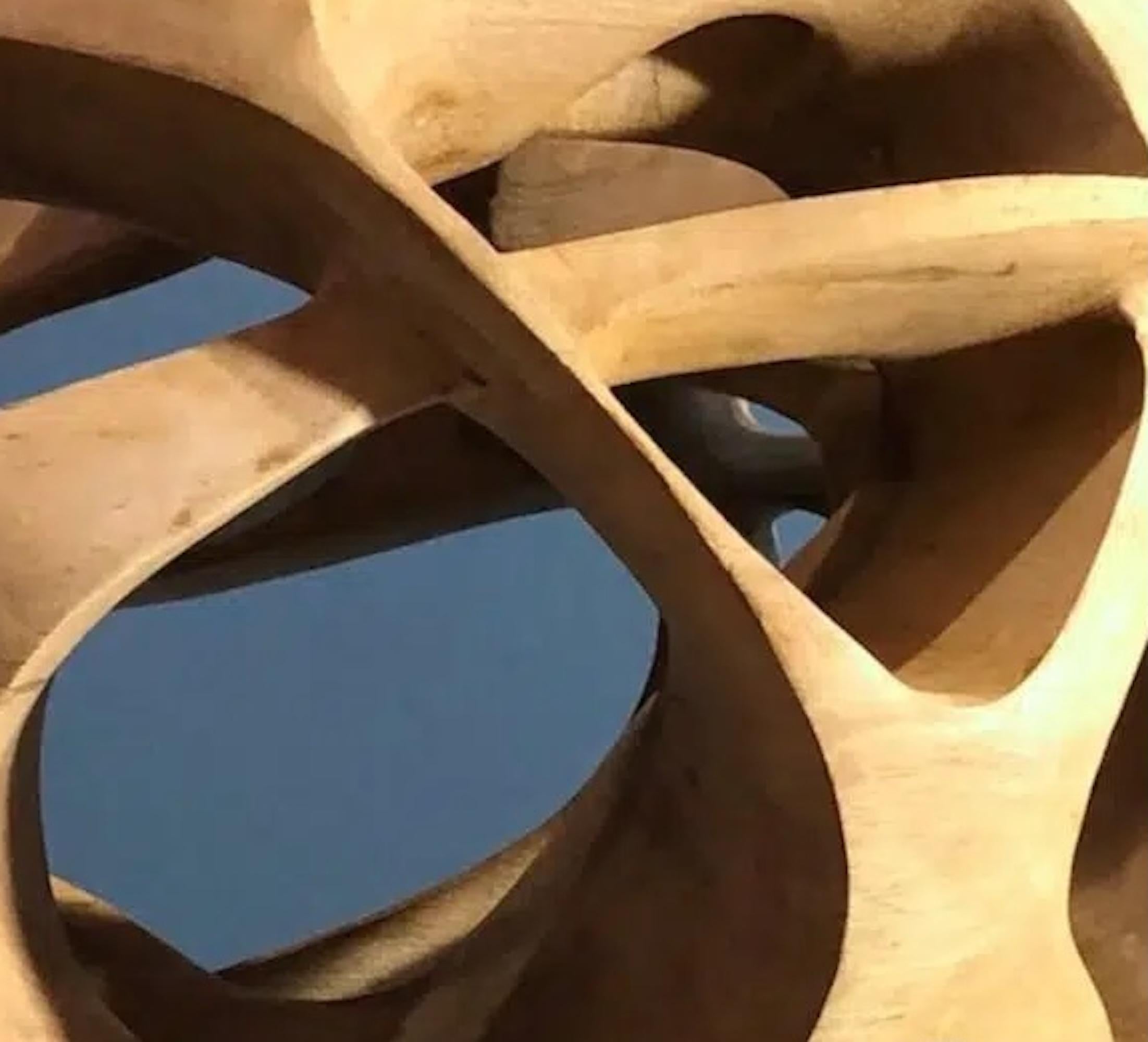 Erratic Movement II by Wouter van der Vlugt - Wood sculpture, round, movement For Sale 7