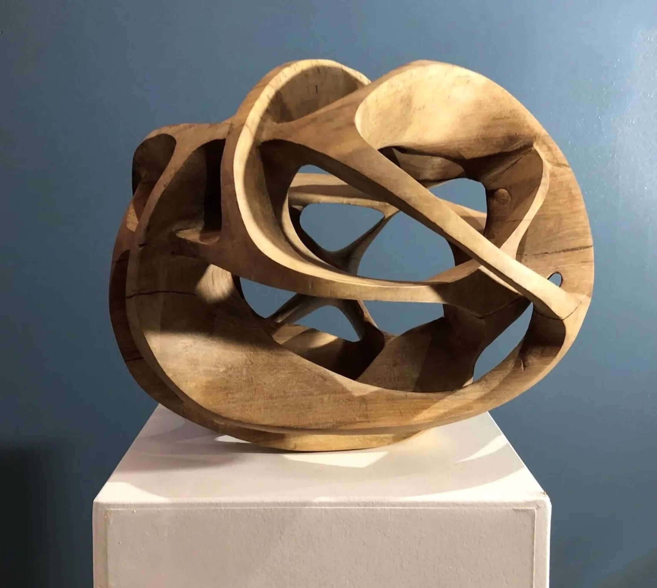 Erratic Movement II is a sculpture in walnut by the Dutch artist Wouter van der Vlugt. Dimensions are 32 × 38 × 30 cm (12.6 × 14.9 × 11.8 in). 
It is a unique signed piece and it comes with a certificate of authenticity signed by the artist. The