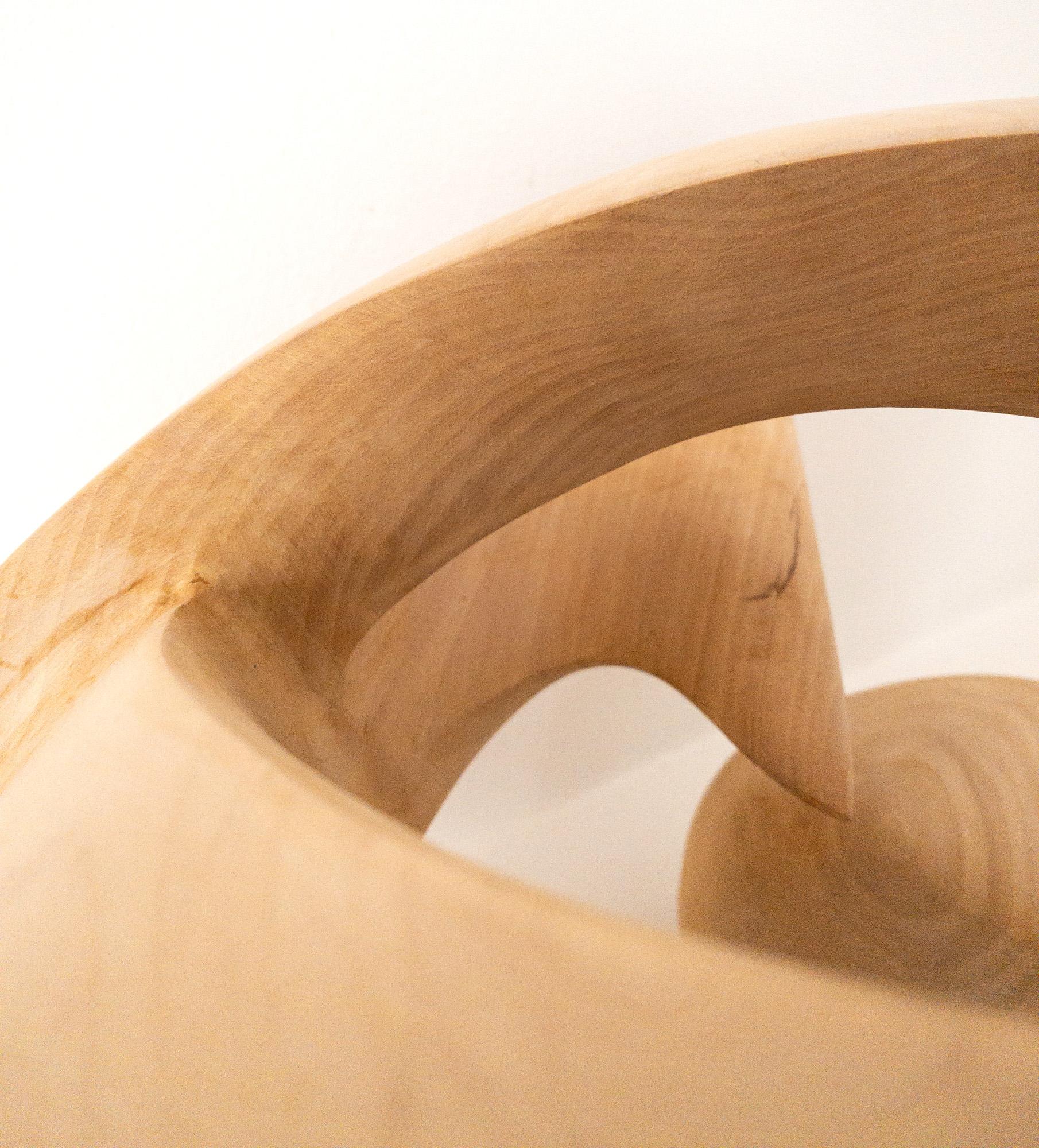 Exploring Space I di Wouter van der Vlugt - Scultura in legno, castagno, movimento in vendita 9