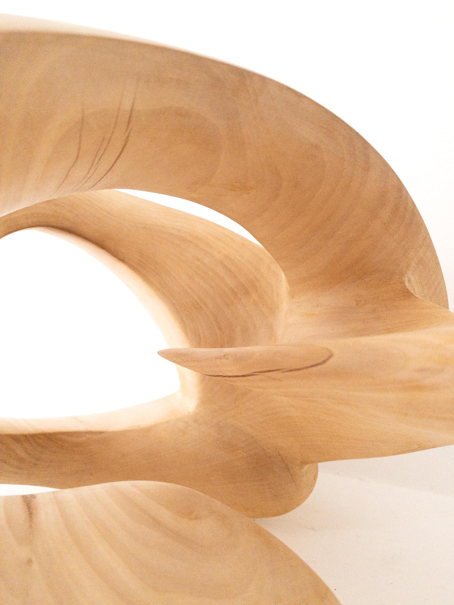 Exploring Space I di Wouter van der Vlugt - Scultura in legno, castagno, movimento in vendita 11
