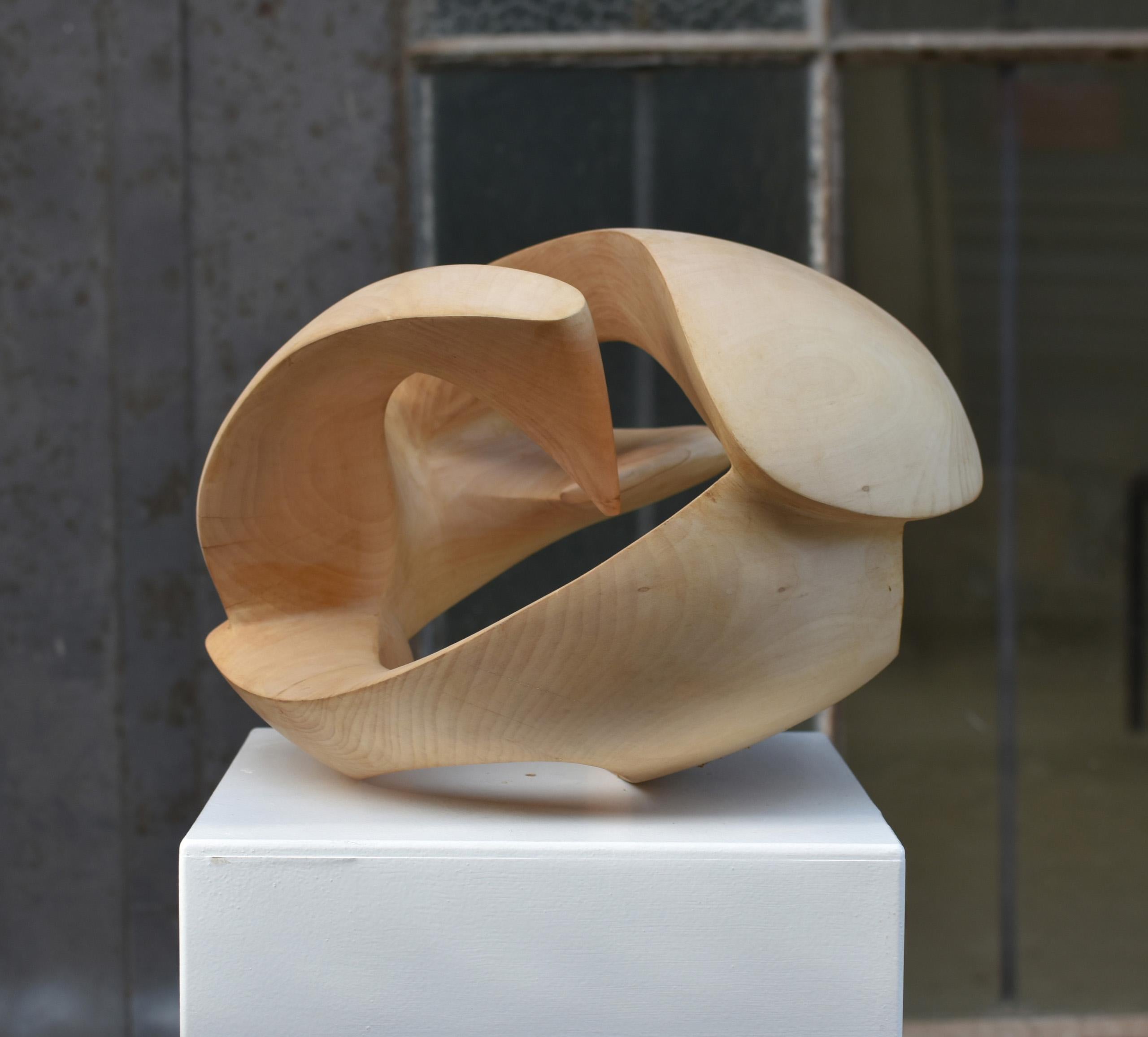 Exploring Space I by Wouter van der Vlugt - Wood sculpture, chestnut, movement For Sale 15