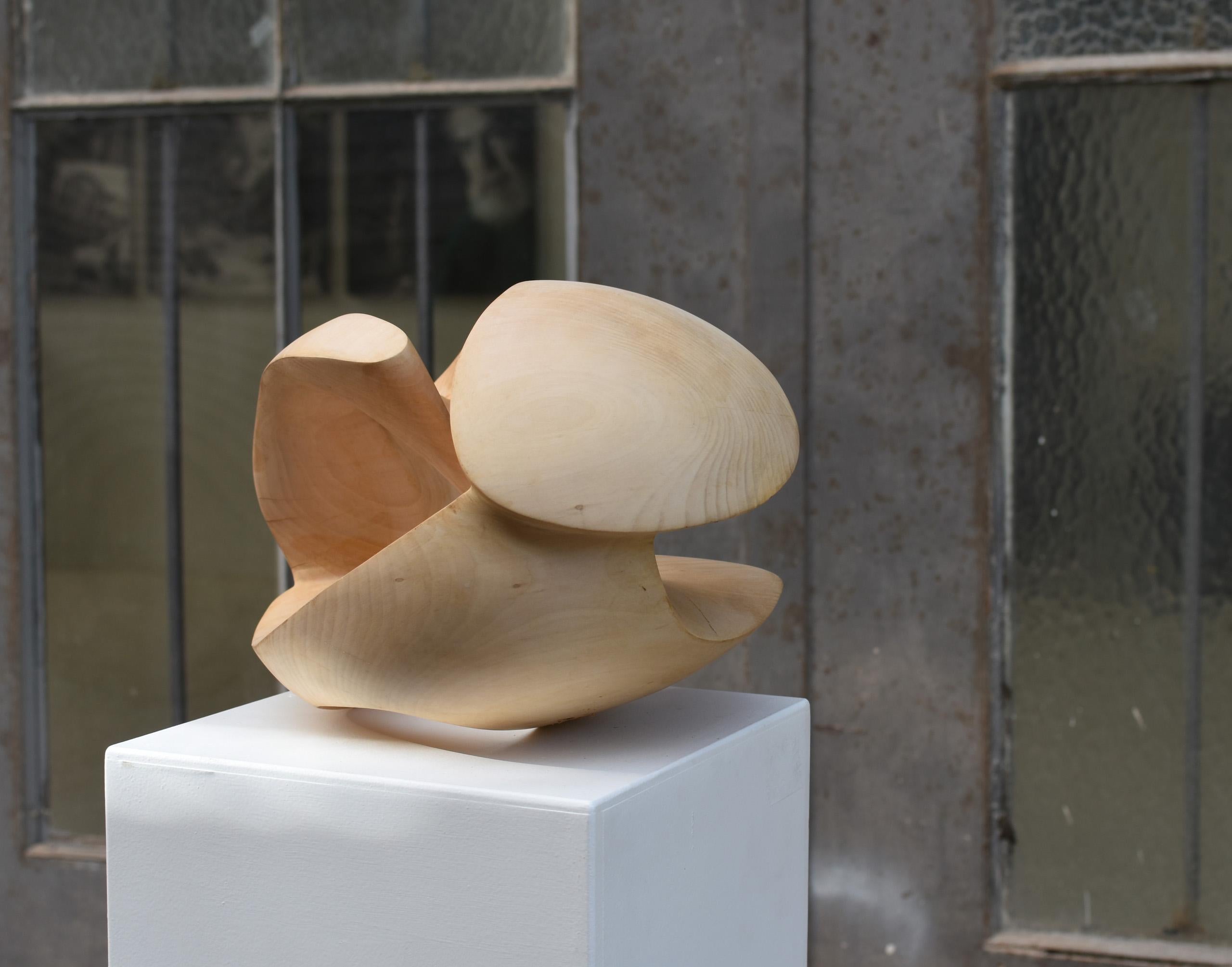 Exploring Space I by Wouter van der Vlugt - Wood sculpture, chestnut, movement For Sale 17