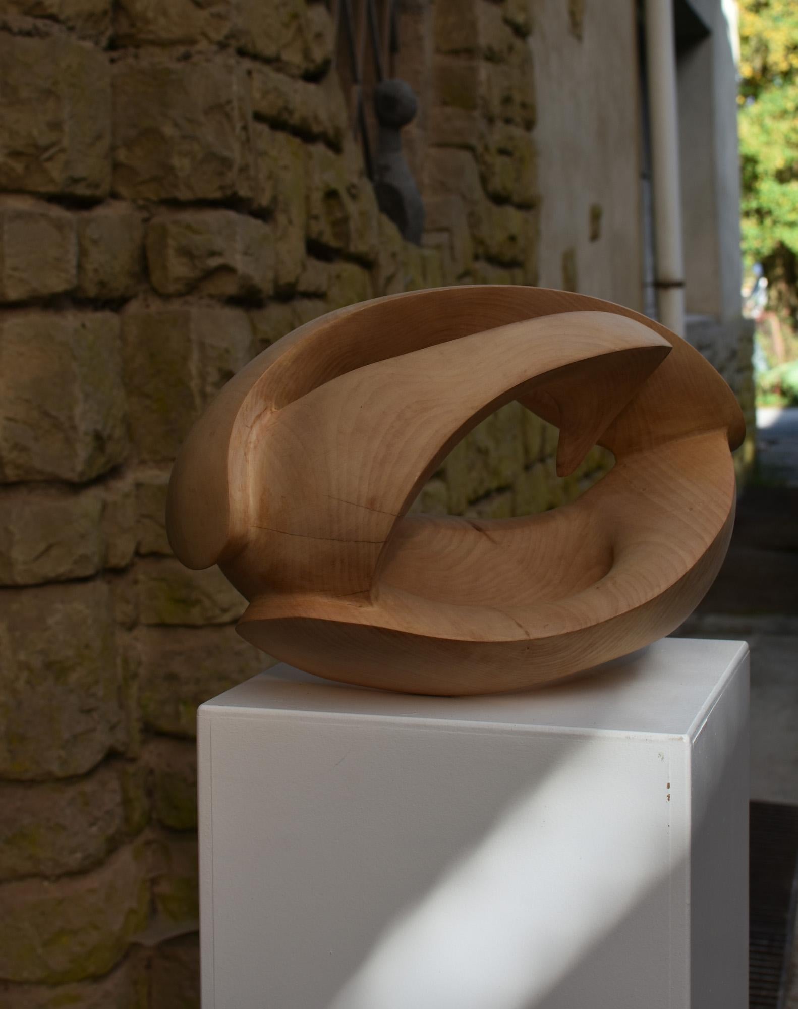 Exploring Space I by Wouter van der Vlugt - Wood sculpture, chestnut, movement For Sale 18