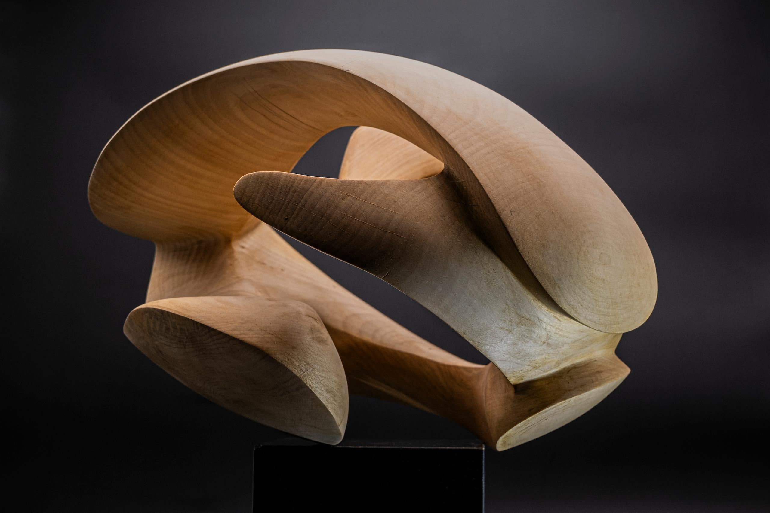 Exploring Space I by Wouter van der Vlugt - Wood sculpture, chestnut, movement For Sale 2
