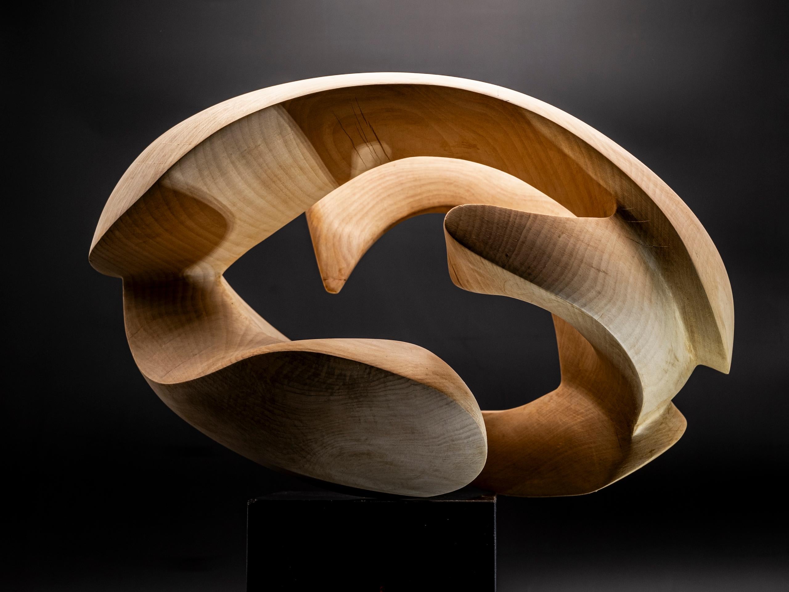 Exploring Space I by Wouter van der Vlugt - Wood sculpture, chestnut, movement