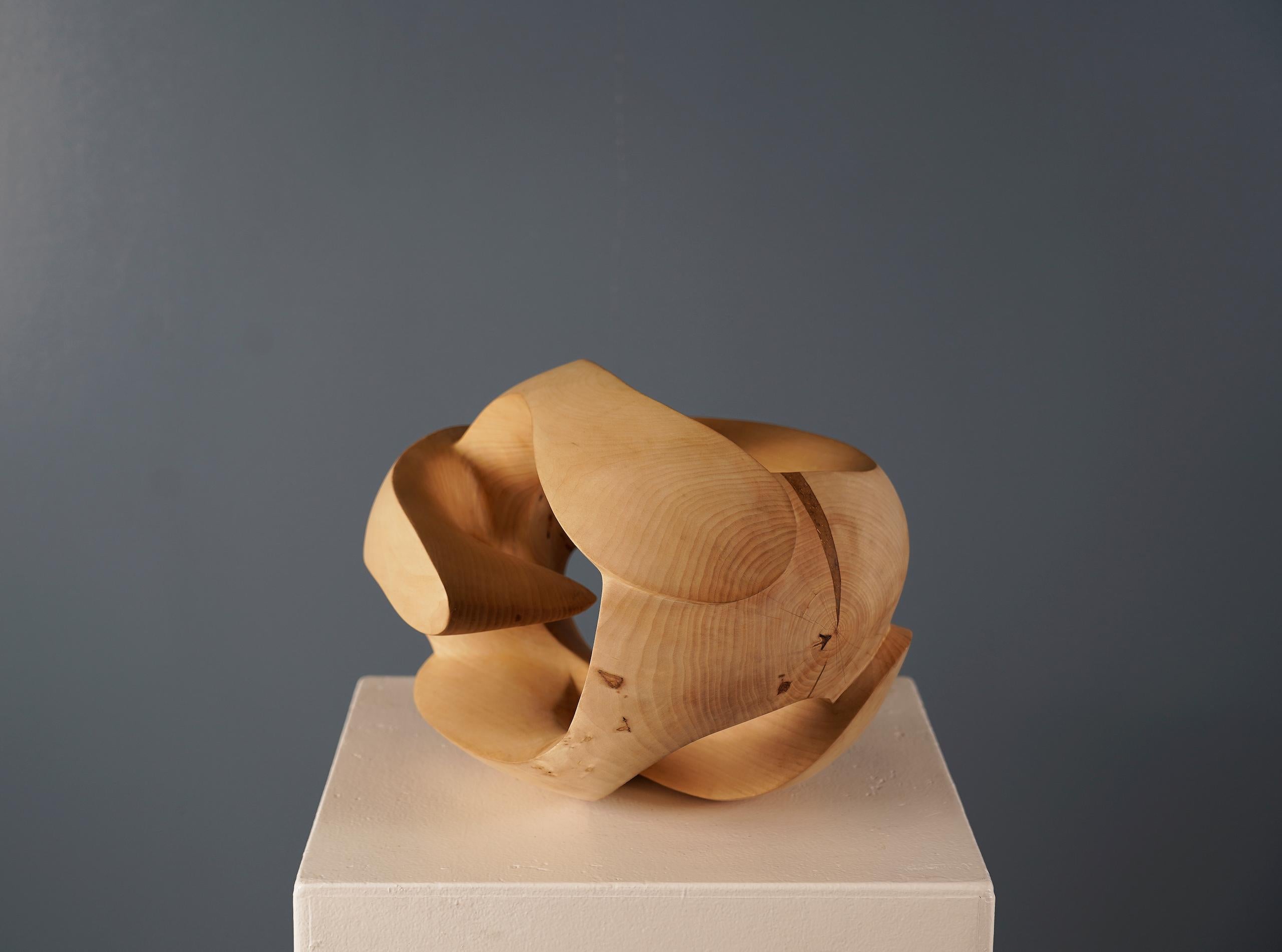 Exploring Space II by Wouter van der Vlugt - Wood sculpture, chestnut, movement For Sale 3