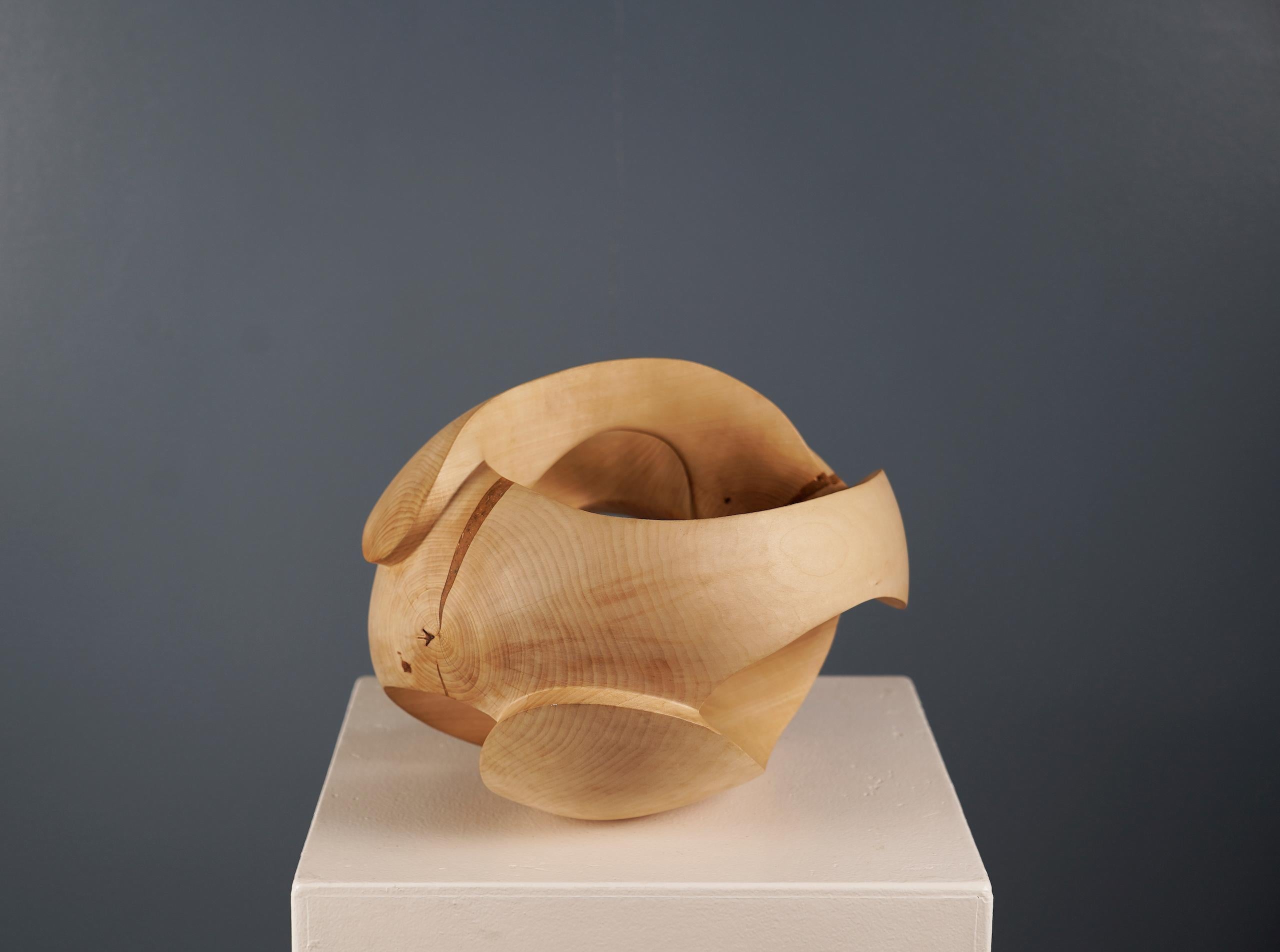 Exploring Space II by Wouter van der Vlugt - Wood sculpture, chestnut, movement For Sale 4
