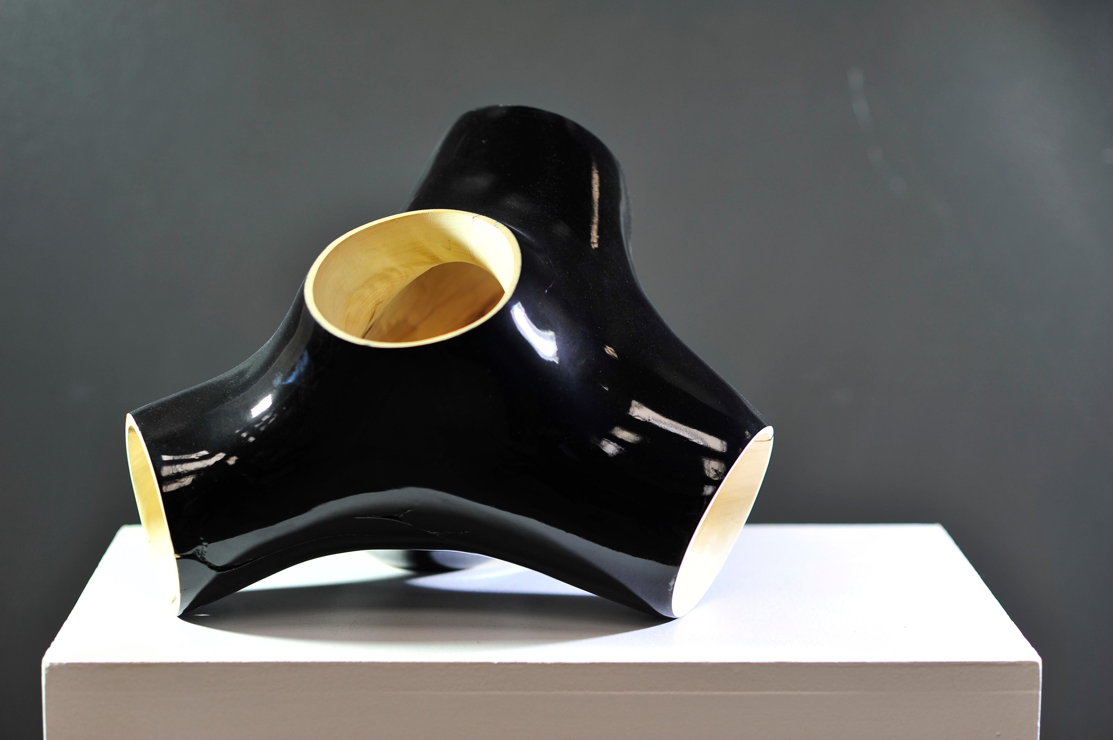 Junction I is a sculpture in lacquered poplar by the Dutch artist Wouter van der Vlugt.

This sculpture is made from wood, a material the artist favours for its naturalness, texture, smell and the way it feels to the touch. The sculptor uses only