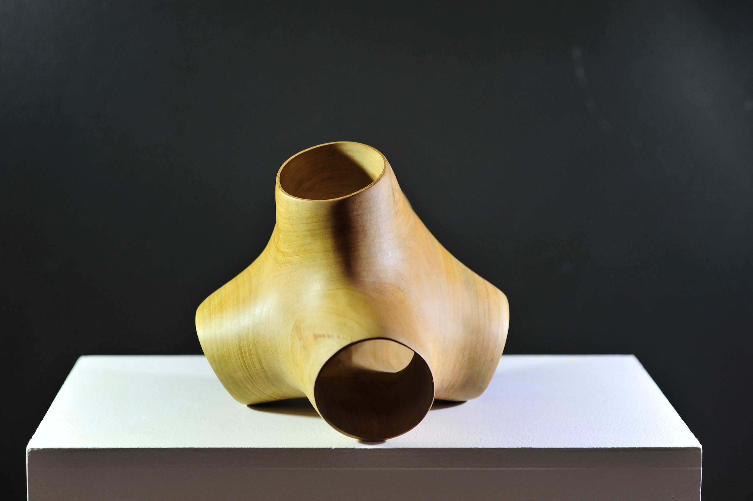 Junction II by Wouter van der Vlugt - Wood sculpture, poplar, movement, shape For Sale 1