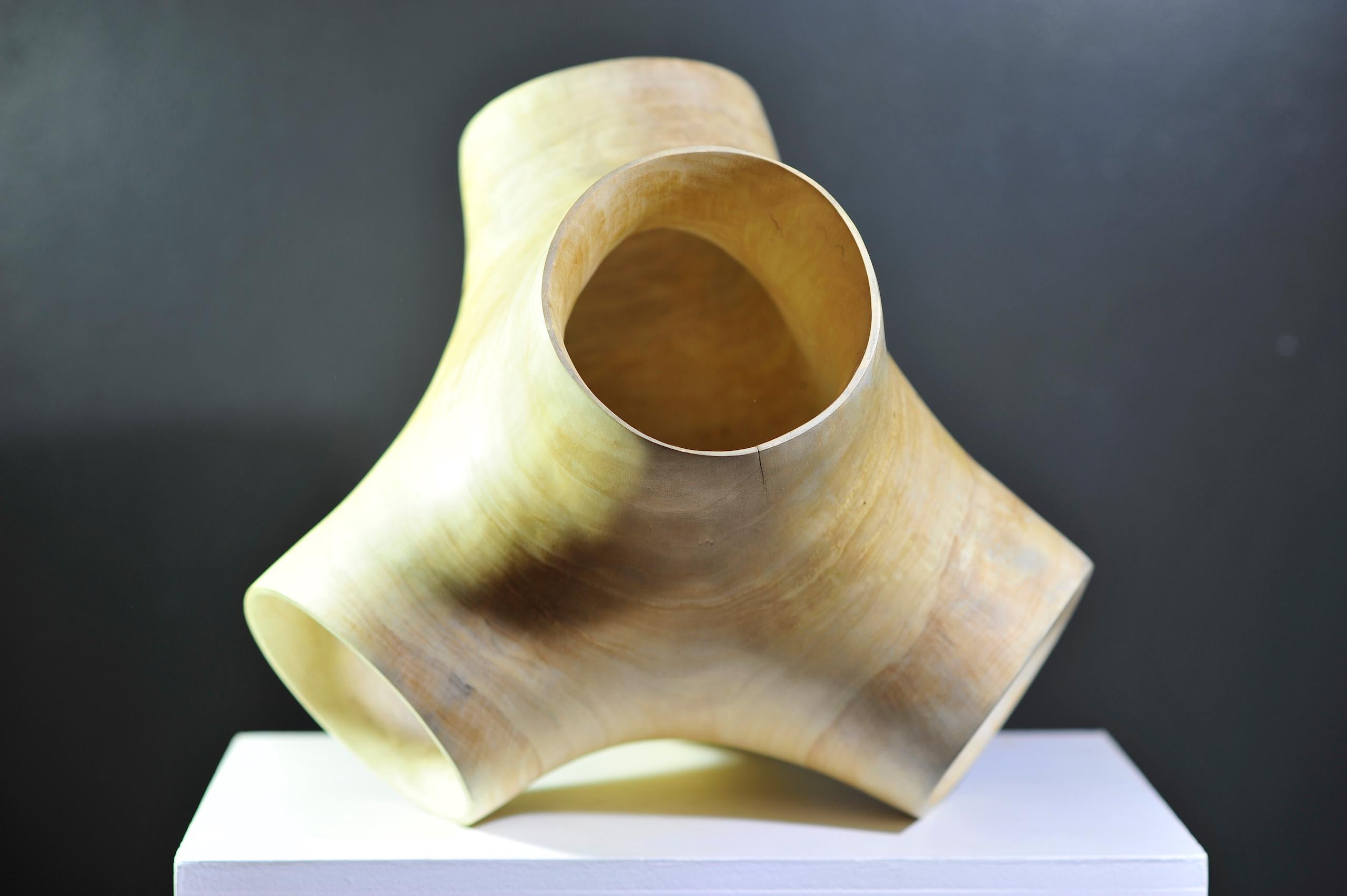 Junction II by Wouter van der Vlugt - Wood sculpture, poplar, movement, shape For Sale 2