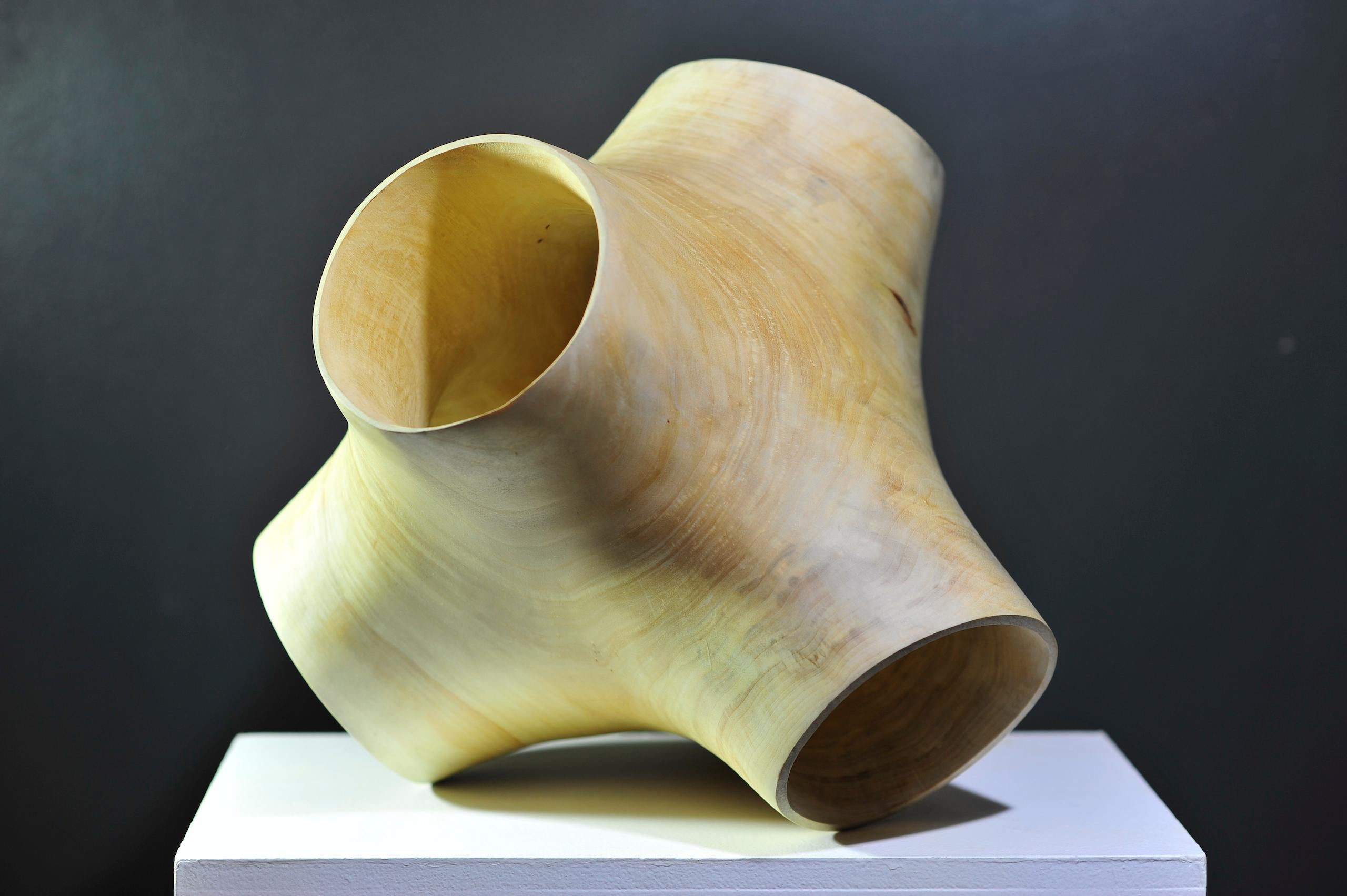 Junction II by Wouter van der Vlugt - Wood sculpture, poplar, movement, shape For Sale 3