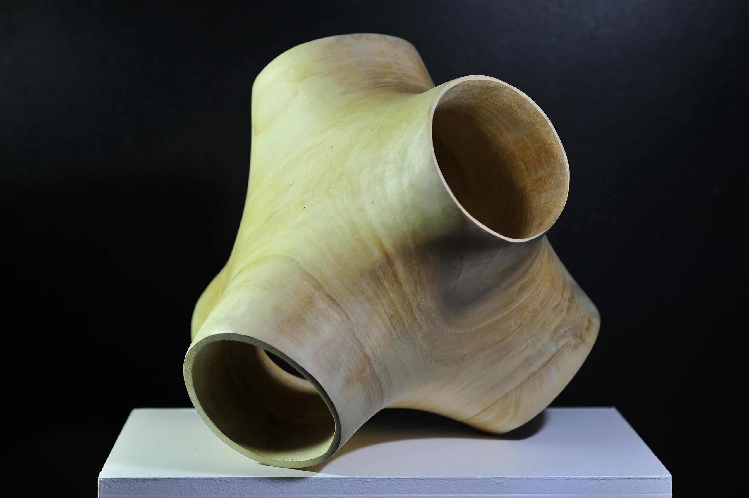 Junction II by Wouter van der Vlugt - Wood sculpture, poplar, movement, shape For Sale 4