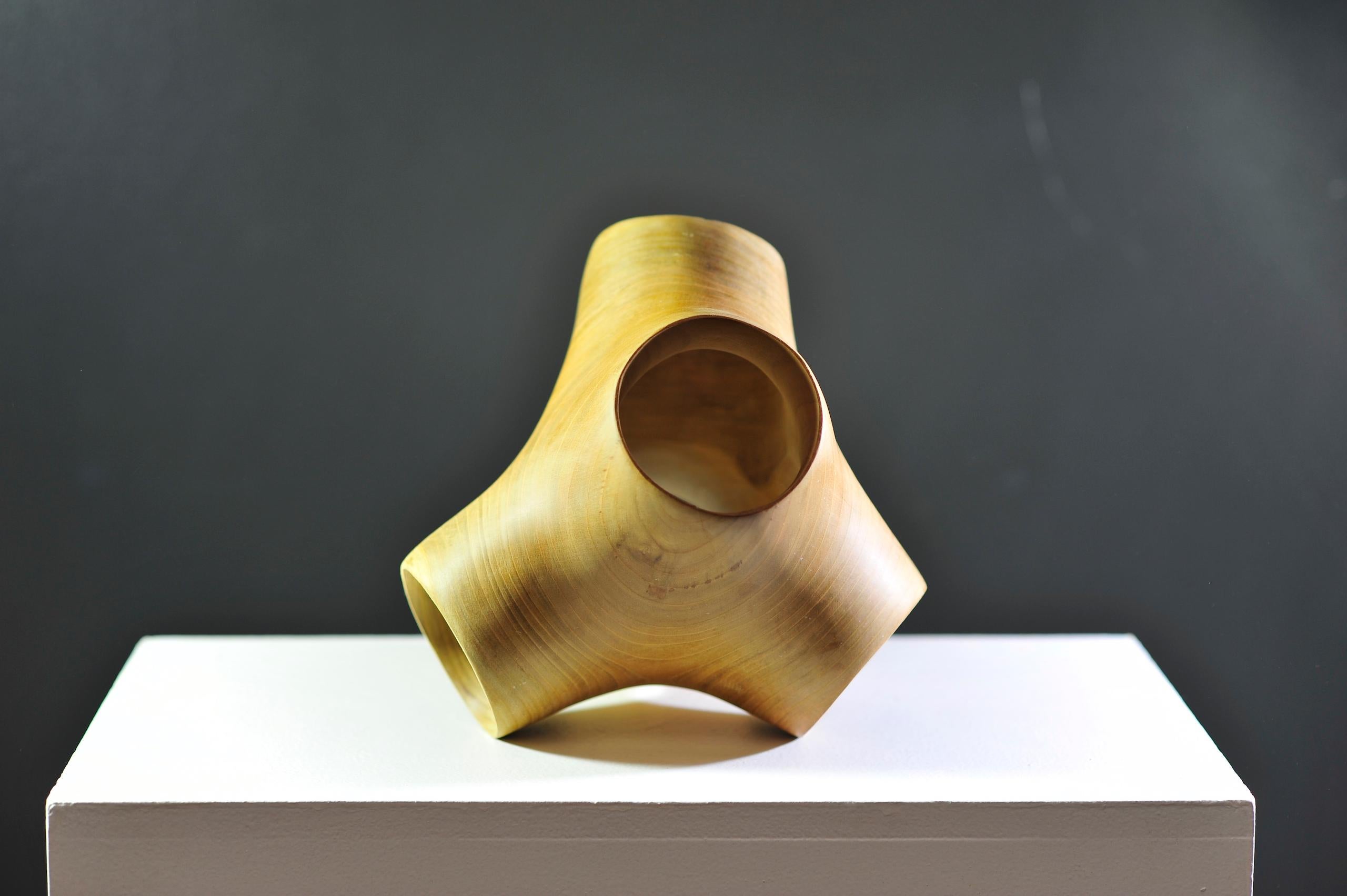 Sculpture en bois Junction II de Wouter van der Vlugt en vente 5
