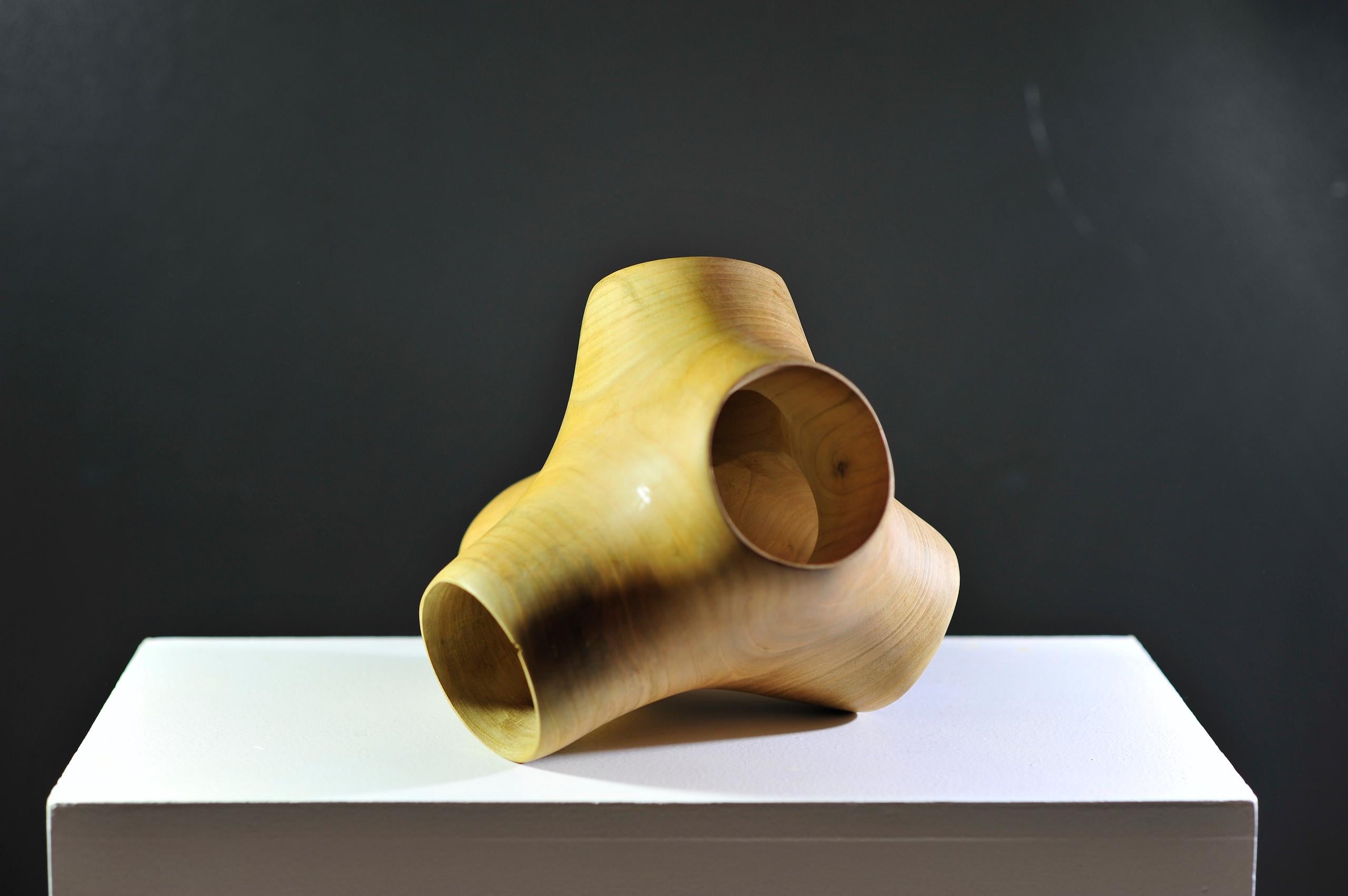 Junction II by Wouter van der Vlugt - Wood sculpture, poplar, movement, shape