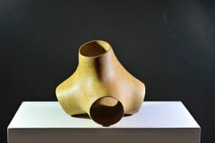 Junction II di Wouter van der Vlugt - Scultura in legno, pioppo, movimento, forma