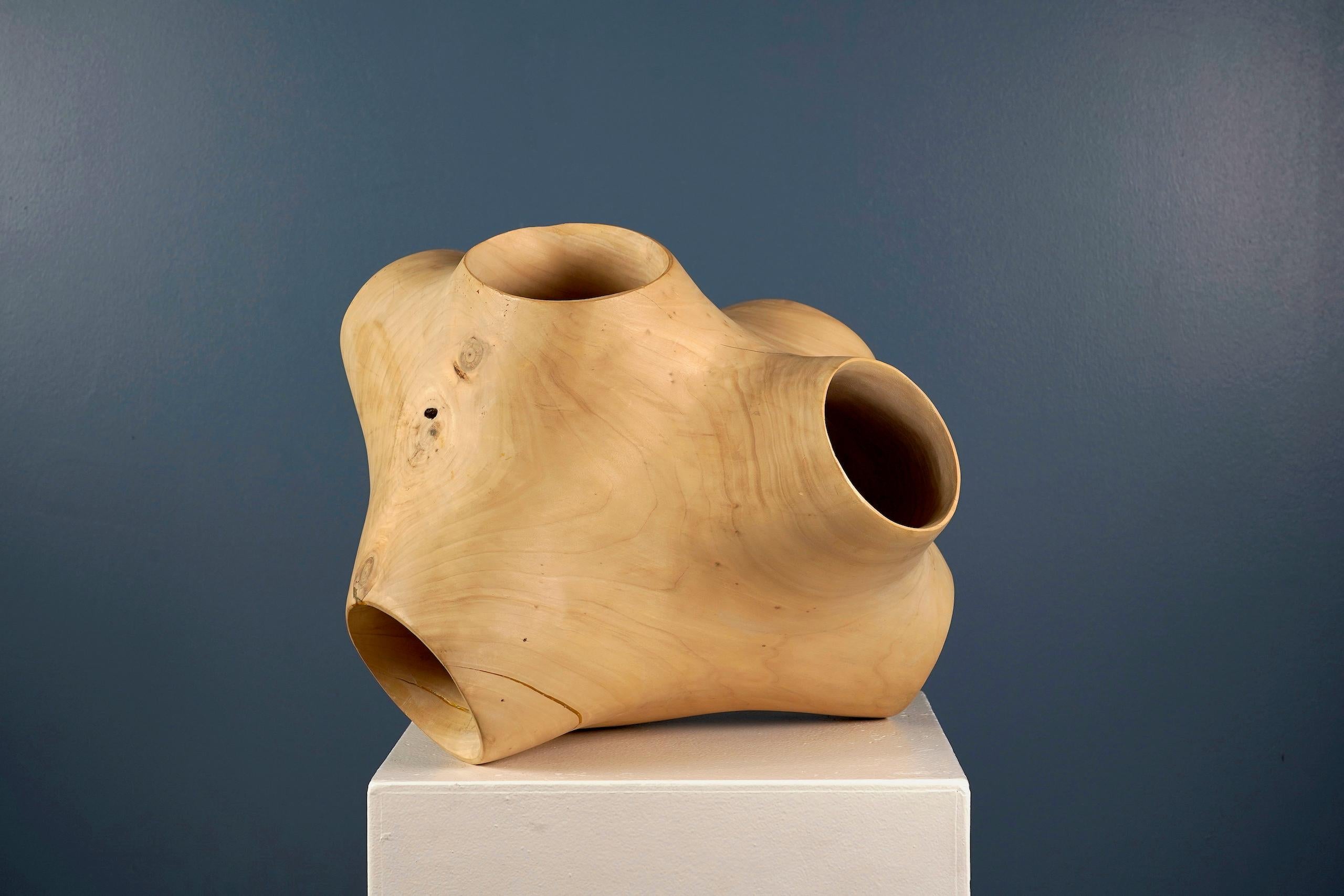 Junction III di Wouter van der Vlugt - Scultura in legno, pioppo, movimento, forma in vendita 1