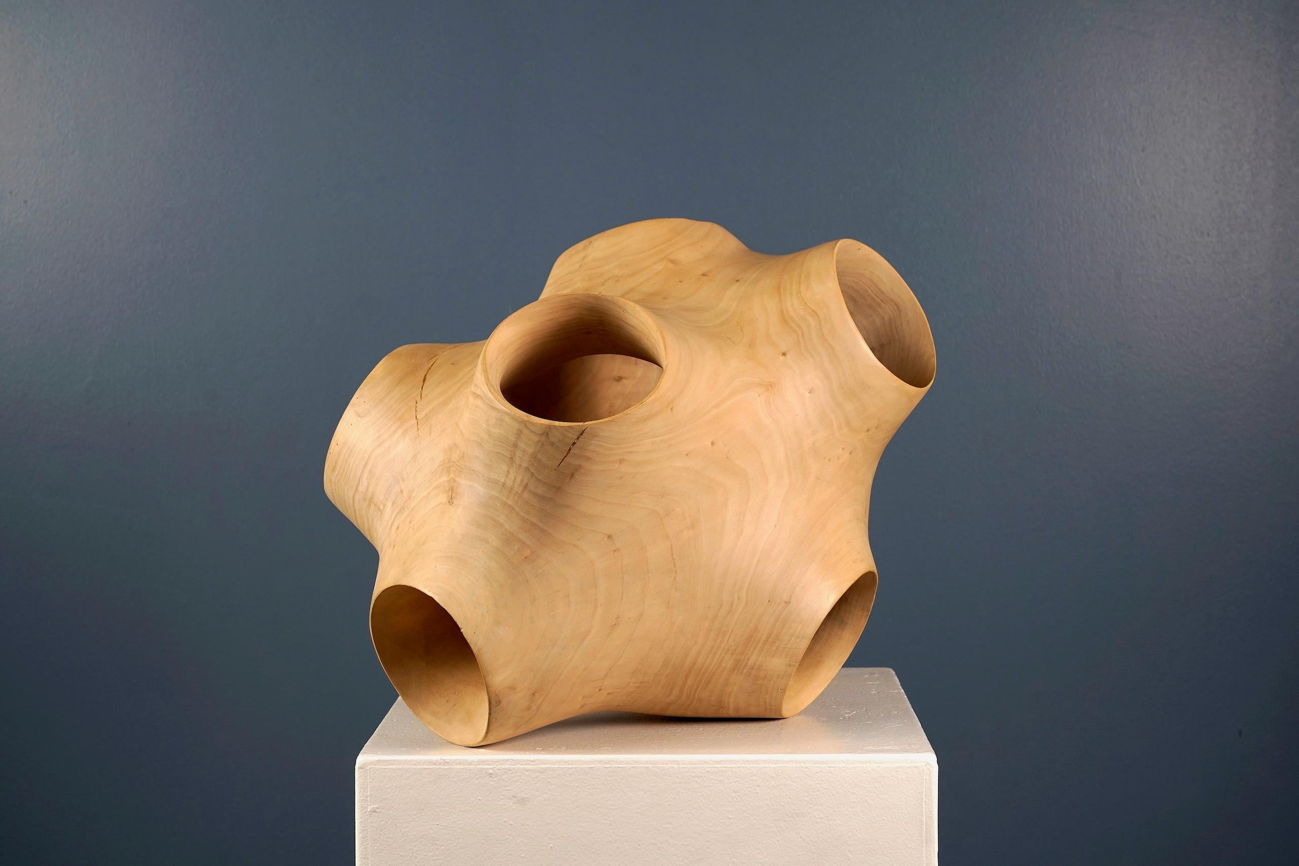 Junction III di Wouter van der Vlugt - Scultura in legno, pioppo, movimento, forma in vendita 2