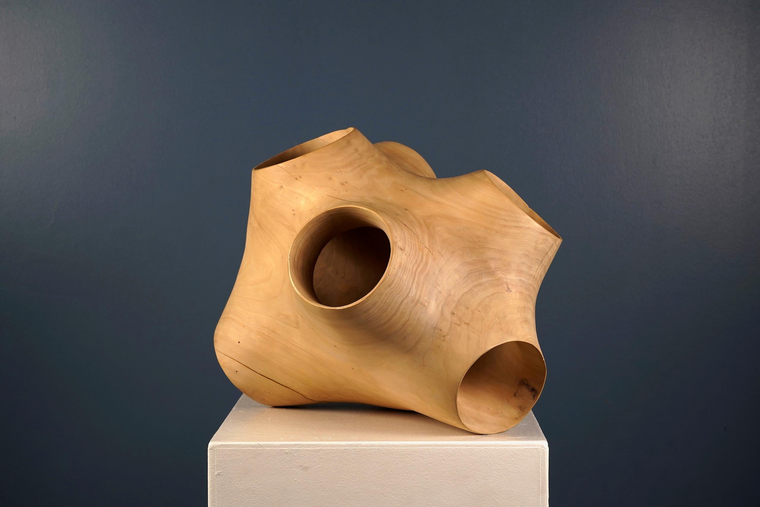 Junction III di Wouter van der Vlugt - Scultura in legno, pioppo, movimento, forma in vendita 3