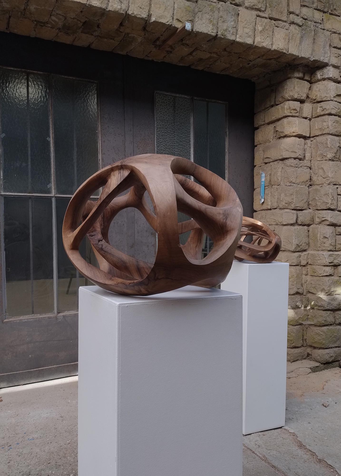 Singularity II di Wouter van der Vlugt - Scultura in legno, noce, movimento, forma in vendita 10