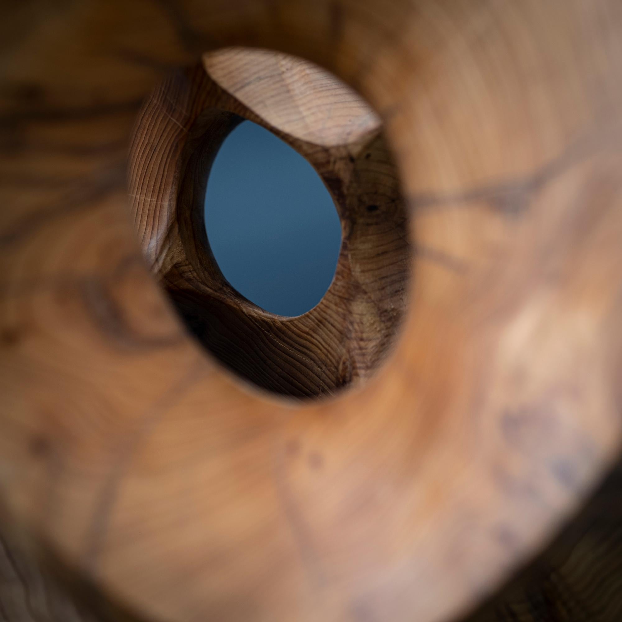 The Other Side I by Wouter van der Vlugt - Wood sculpture, yew, movement, shape For Sale 9