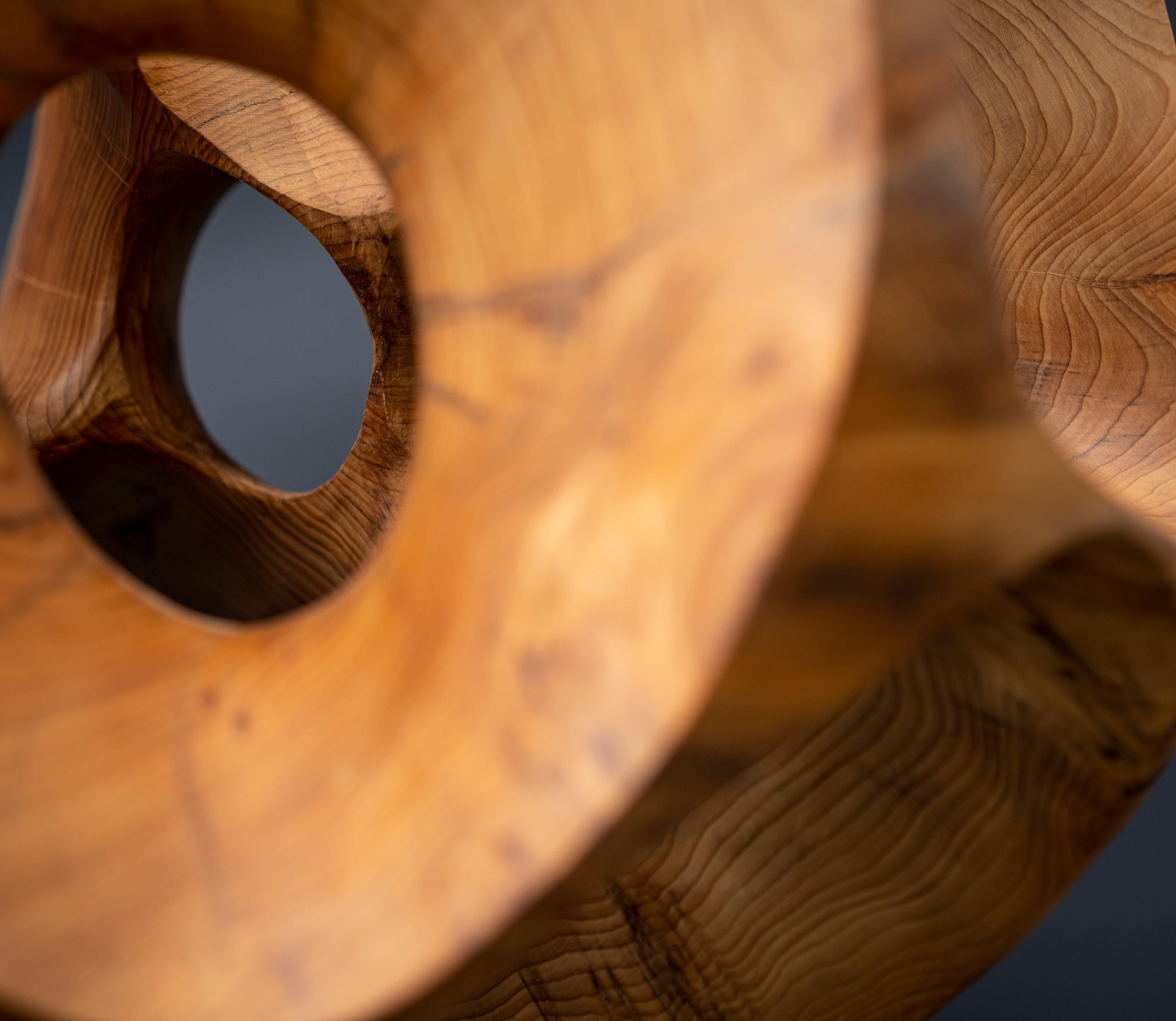The Other Side I by Wouter van der Vlugt - Wood sculpture, yew, movement, shape For Sale 10