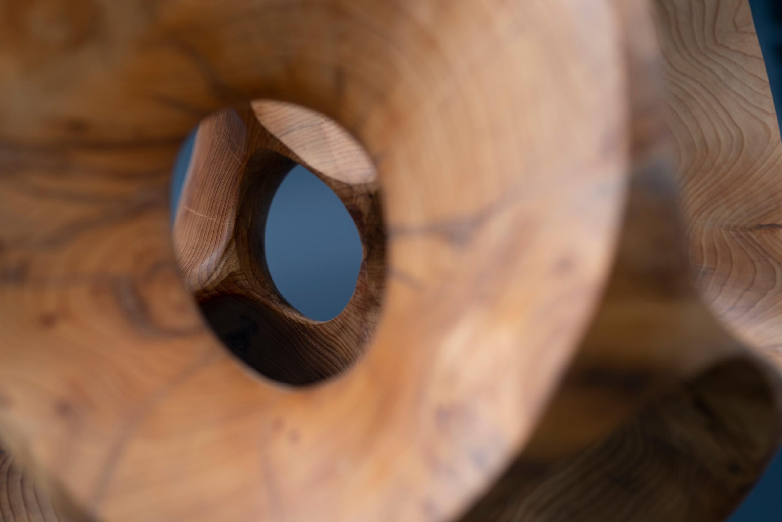 The Other Side I by Wouter van der Vlugt - Wood sculpture, yew, movement, shape For Sale 11