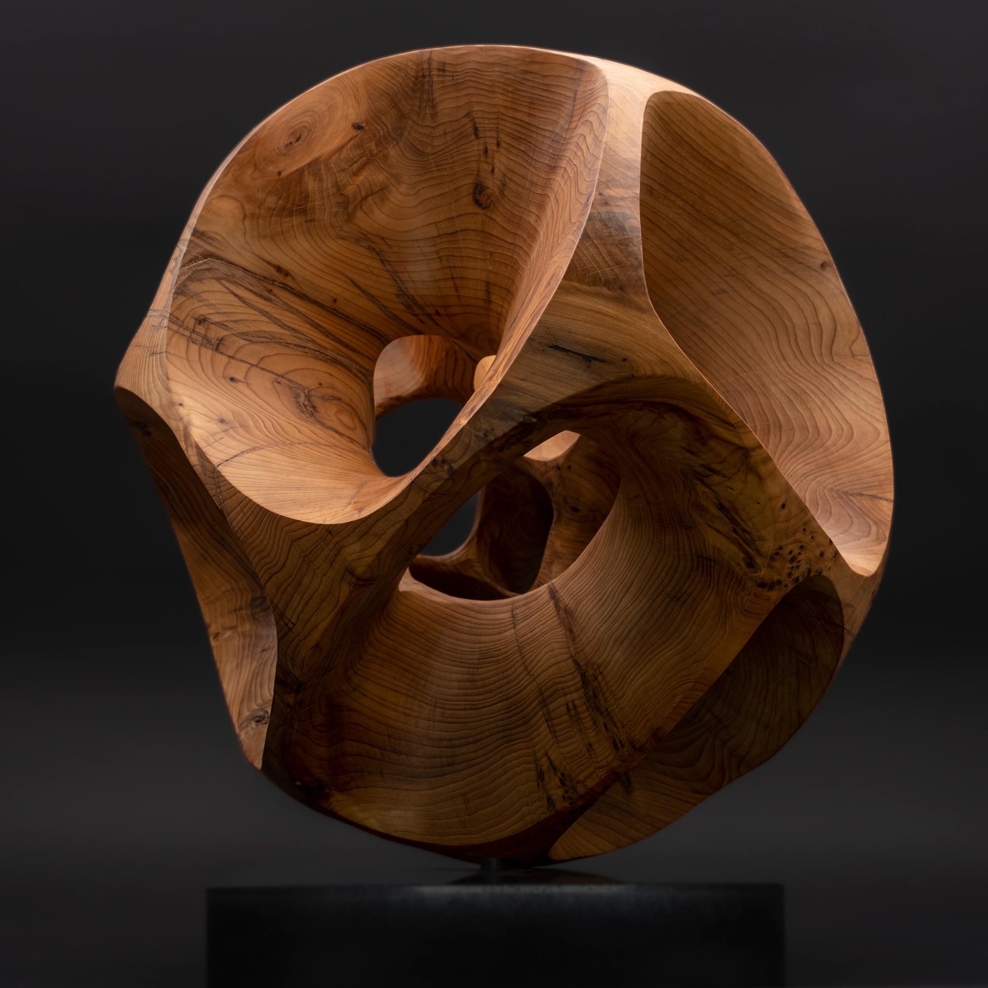 The Other Side I by Wouter van der Vlugt - Wood sculpture, yew, movement, shape For Sale 1