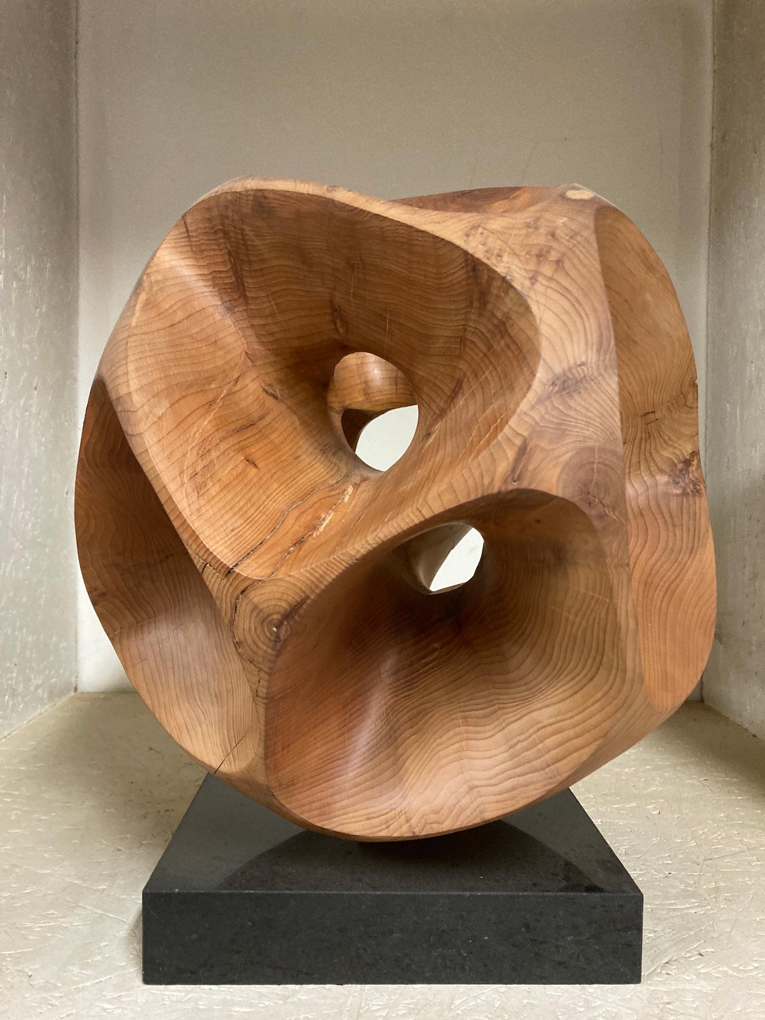 The Other Side I by Wouter van der Vlugt - Wood sculpture, yew, movement, shape For Sale 2