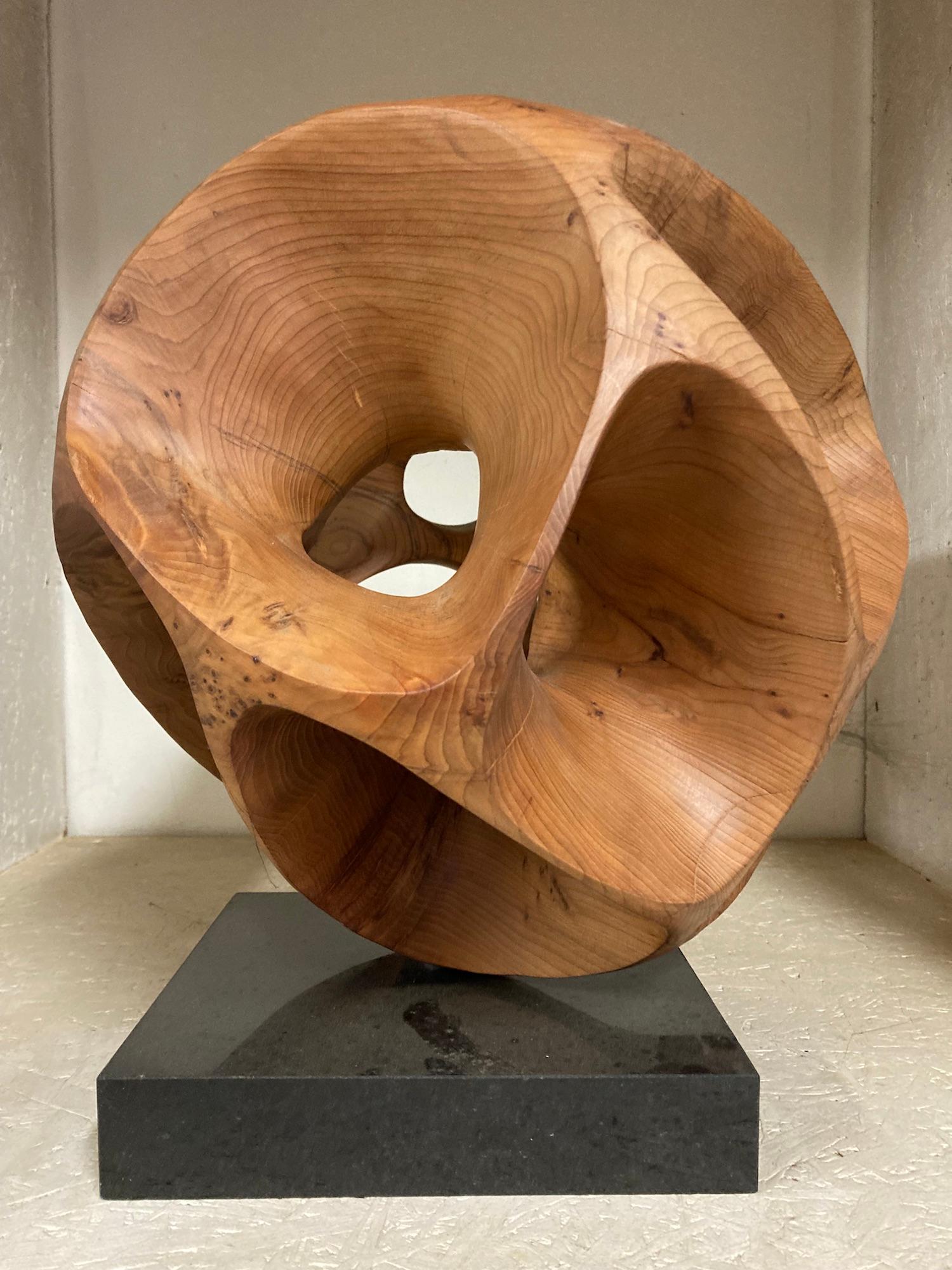 The Other Side I by Wouter van der Vlugt - Wood sculpture, yew, movement, shape For Sale 3