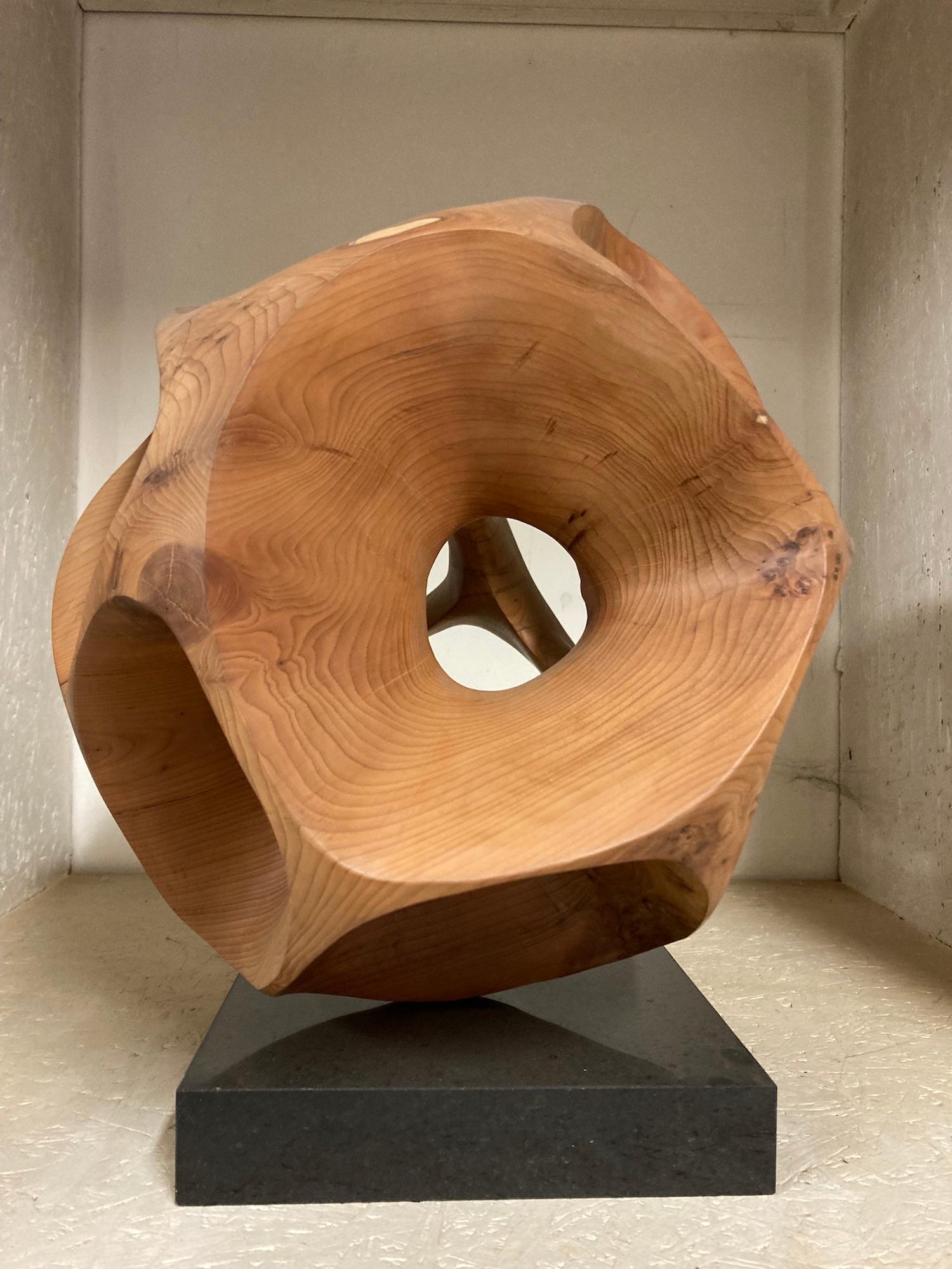 The Other Side I by Wouter van der Vlugt - Wood sculpture, yew, movement, shape For Sale 4