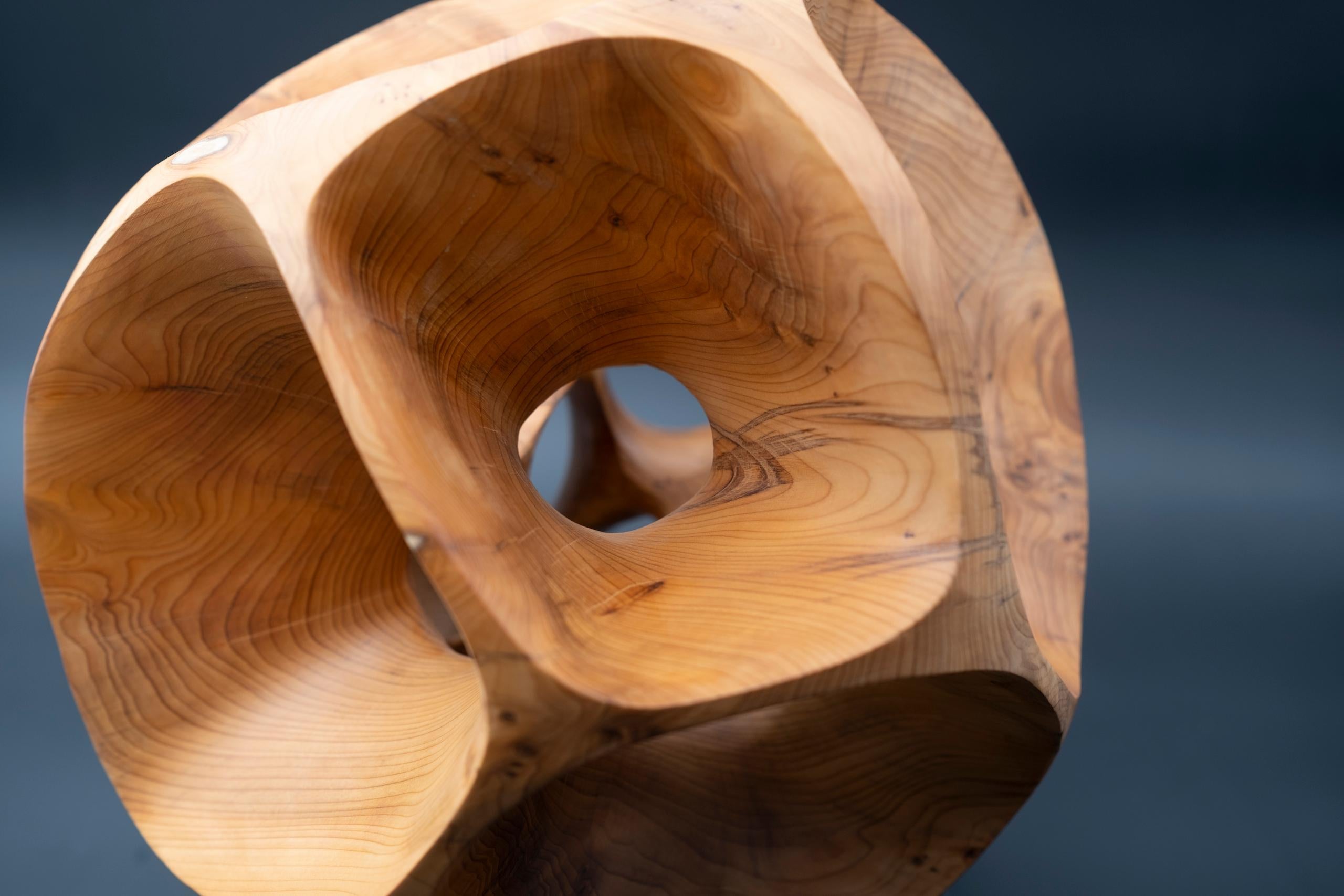 The Other Side I by Wouter van der Vlugt - Wood sculpture, yew, movement, shape For Sale 5