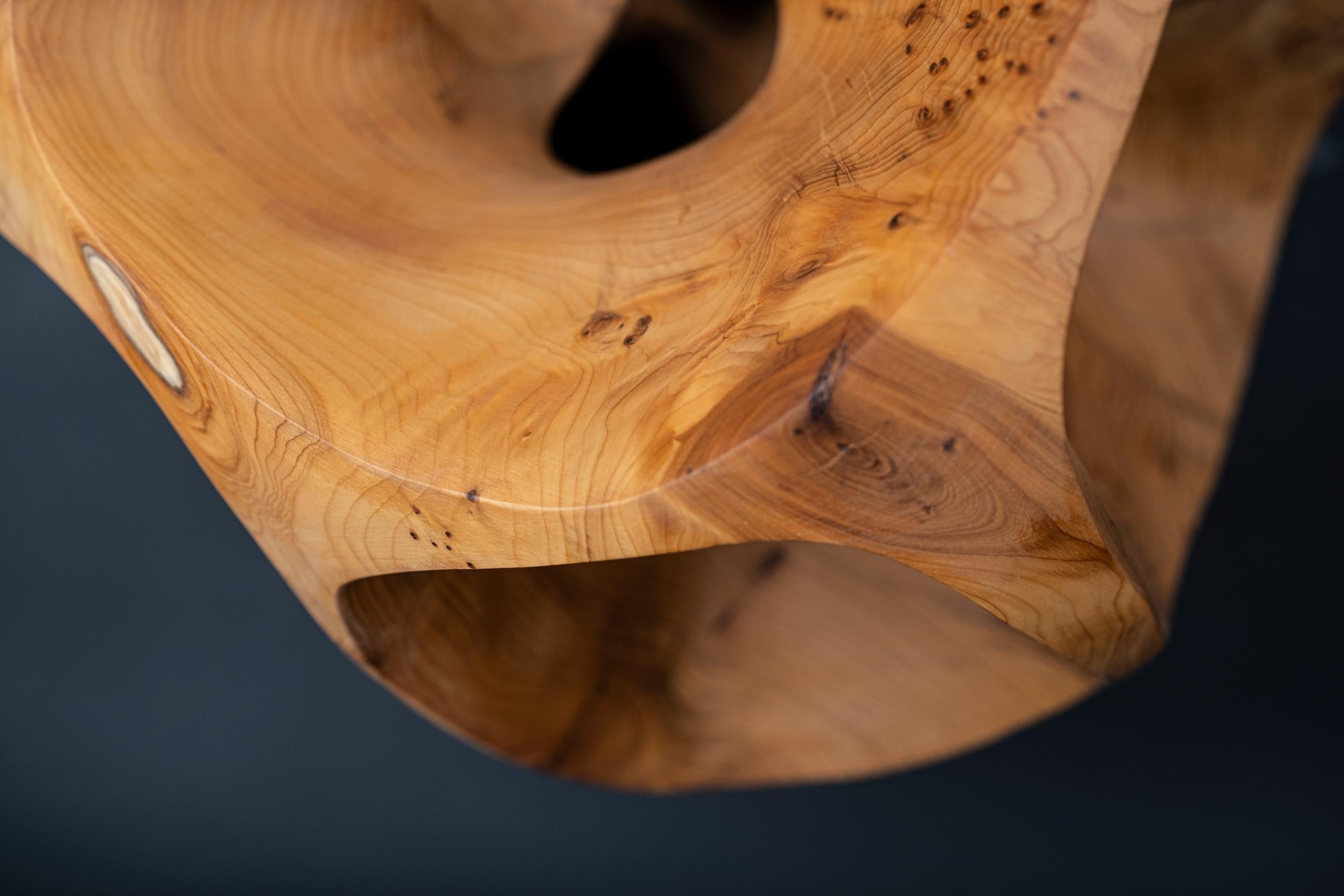 The Other Side I by Wouter van der Vlugt - Wood sculpture, yew, movement, shape For Sale 6