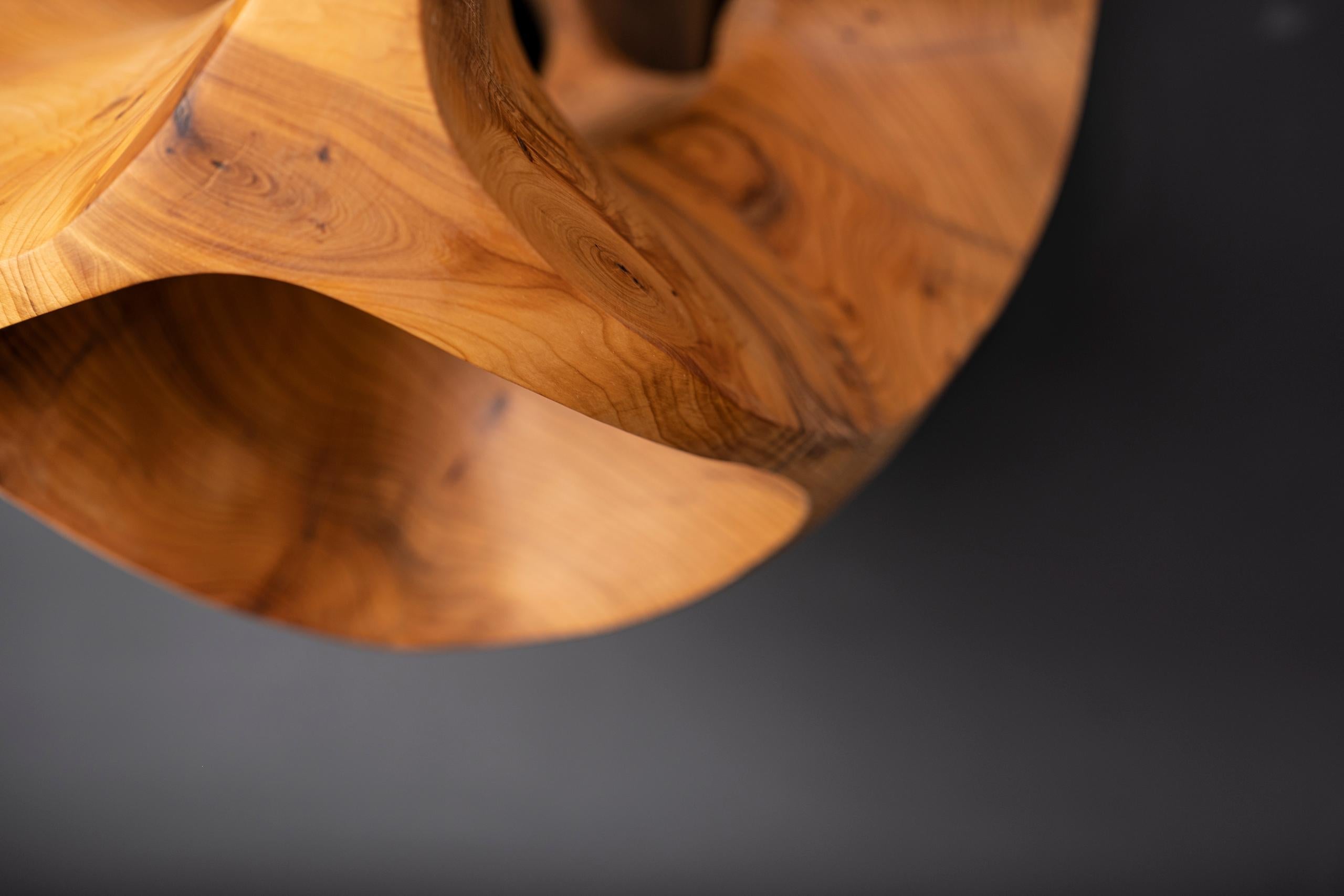 The Other Side I by Wouter van der Vlugt - Wood sculpture, yew, movement, shape For Sale 7